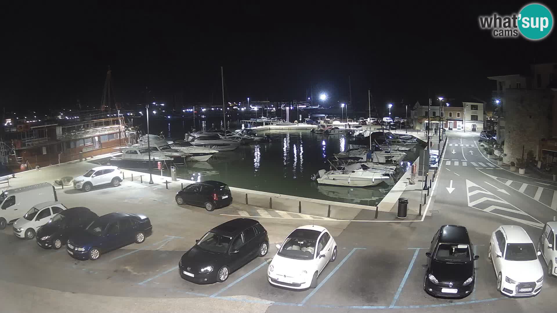 Novigrad | Porporela marina