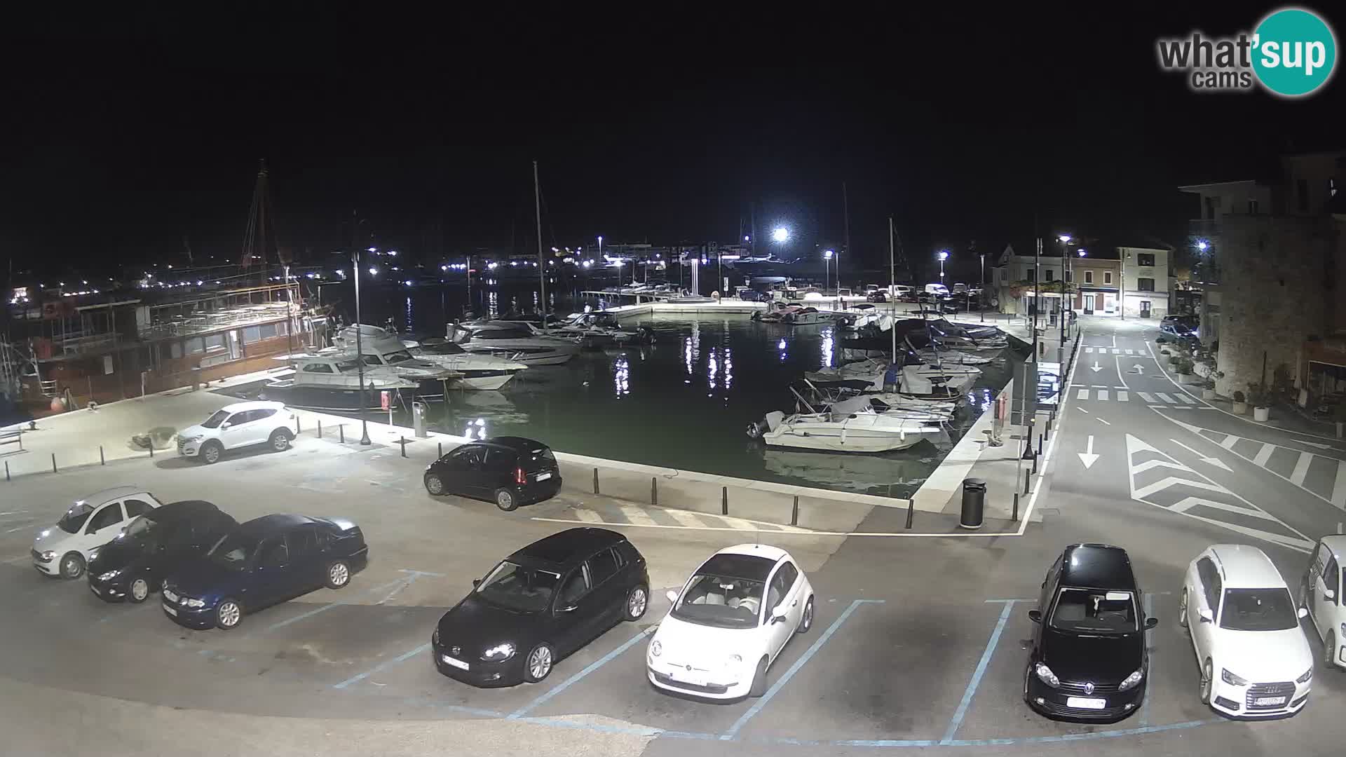 Novigrad | Porporela marina