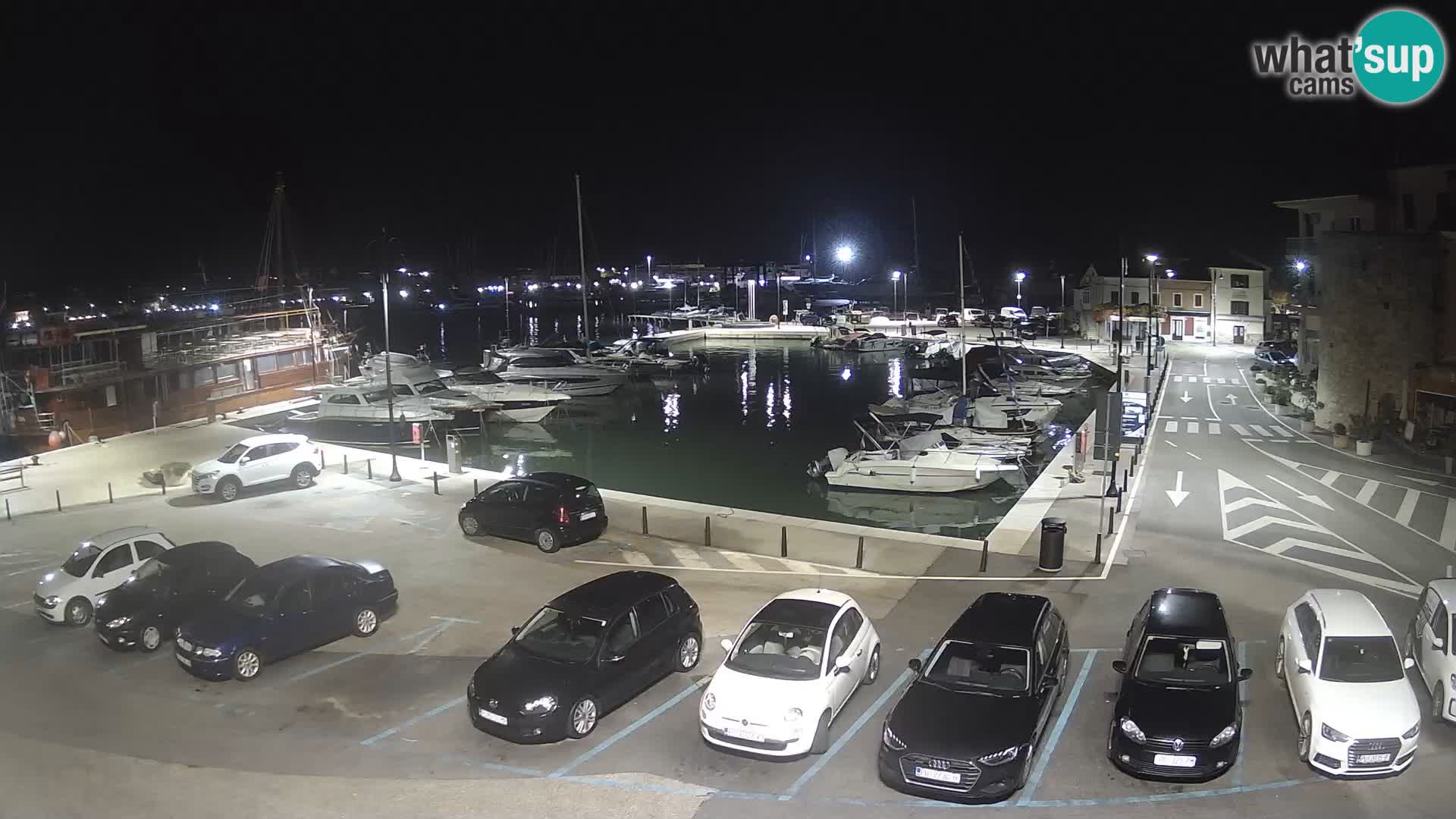 Novigrad | Porporela marina