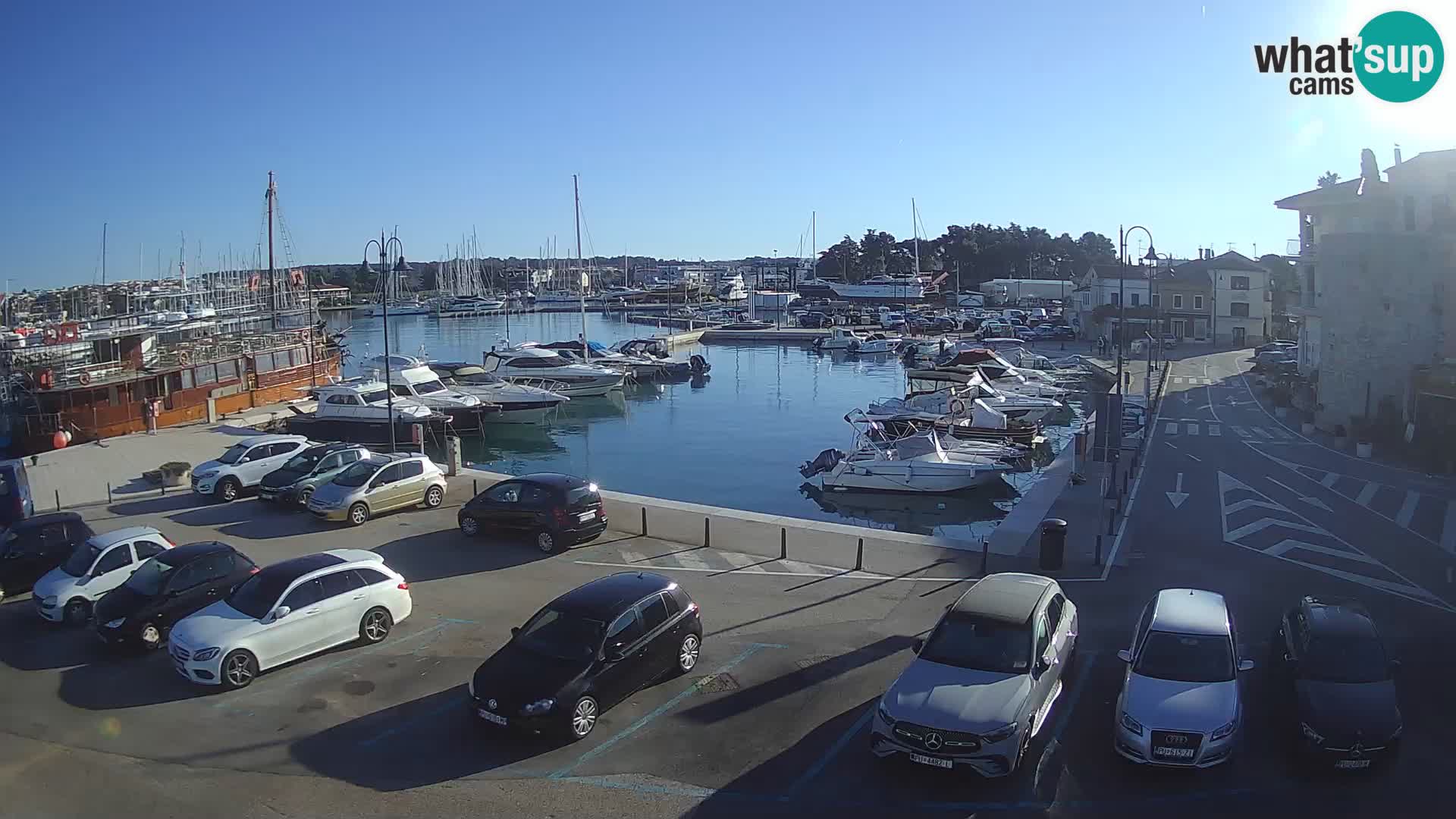 Novigrad | Porporela marina