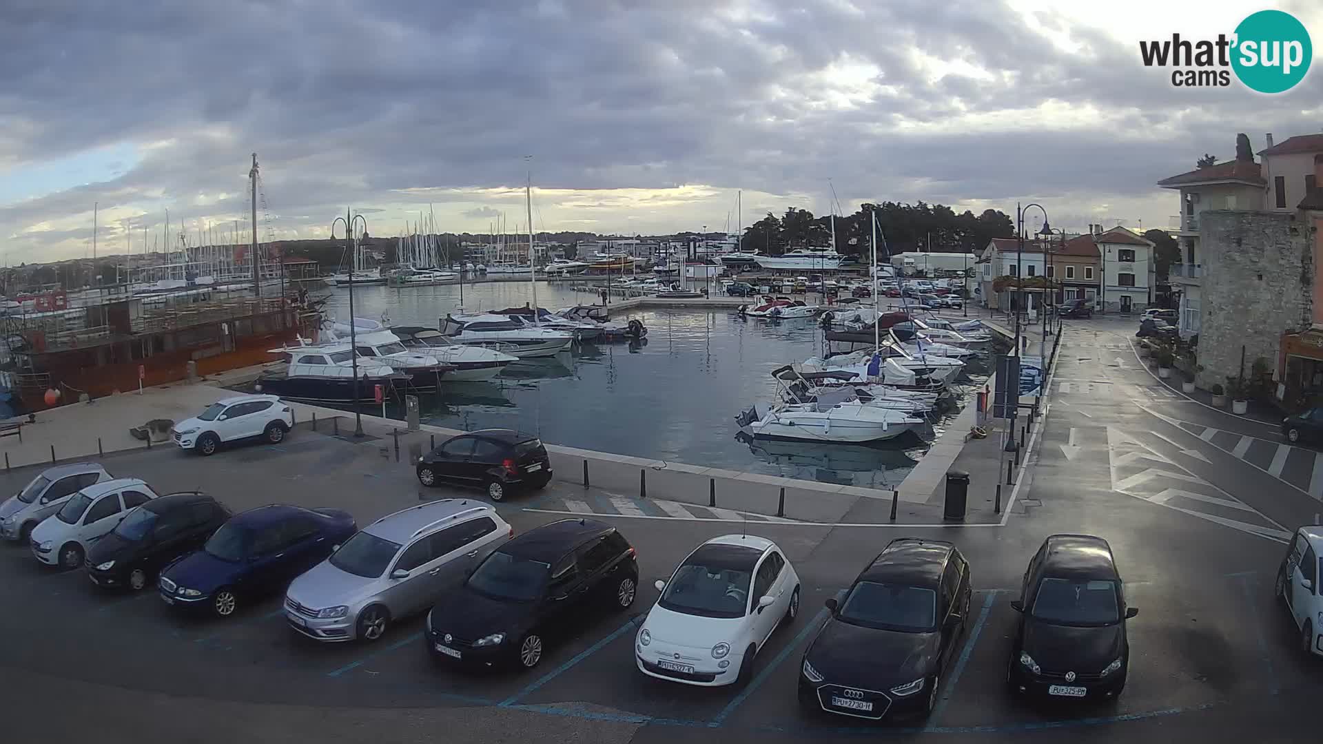 Novigrad | Porporela marina