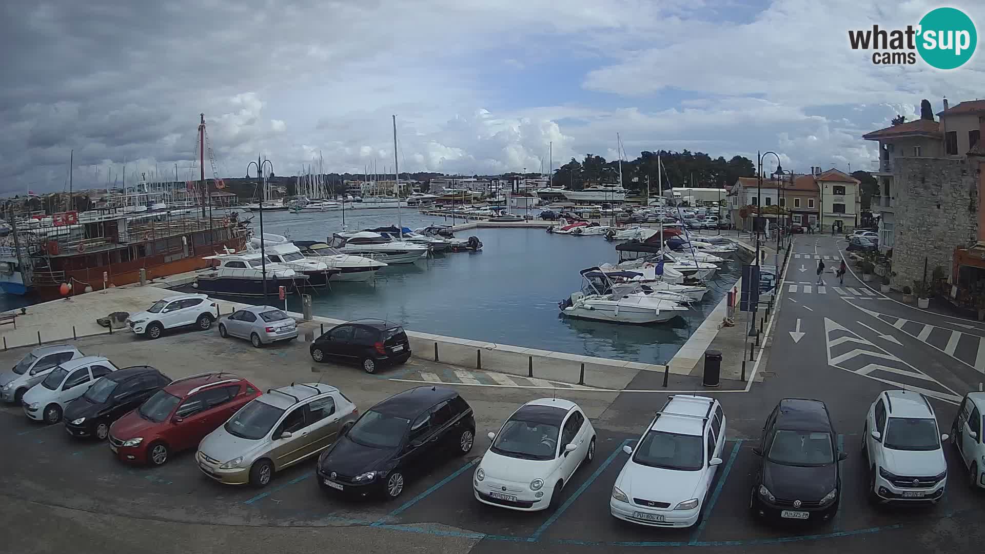 Novigrad | Porporela marina