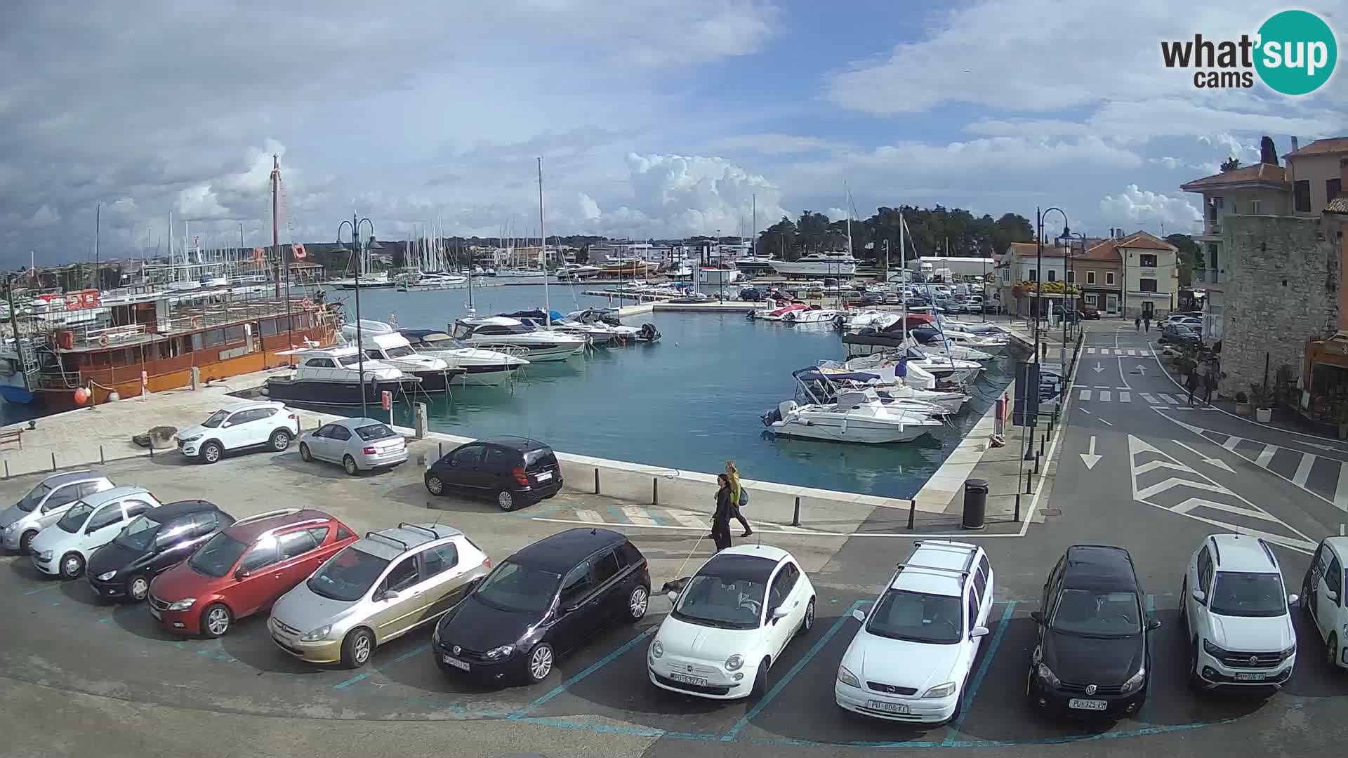 Novigrad | Porporela marina