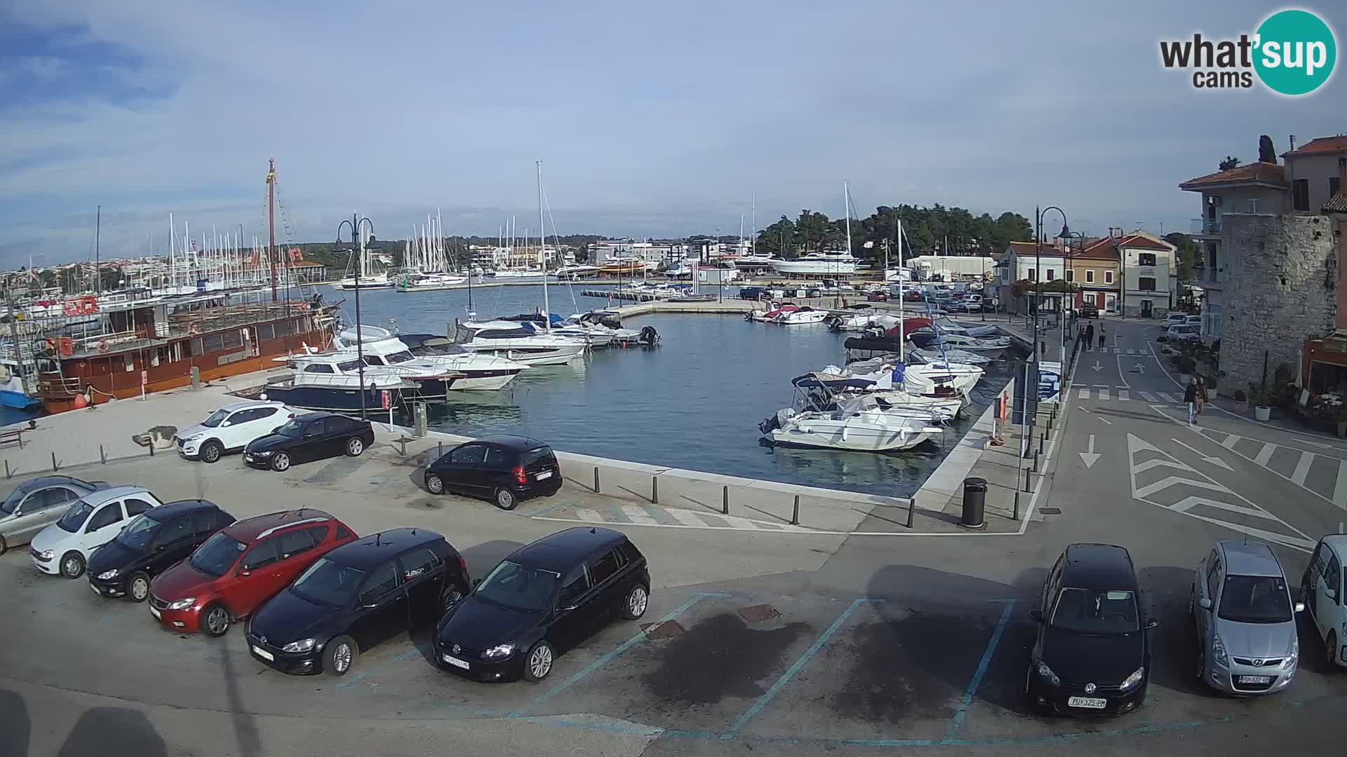 Novigrad | Porporela marina