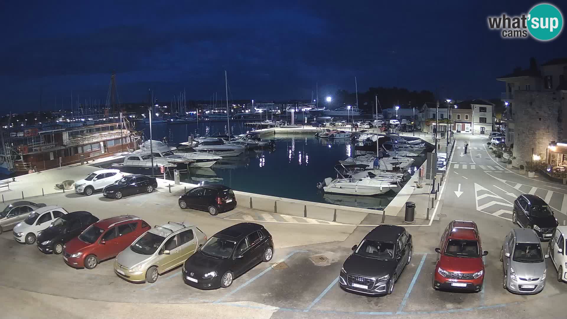 Novigrad | Porporela marina