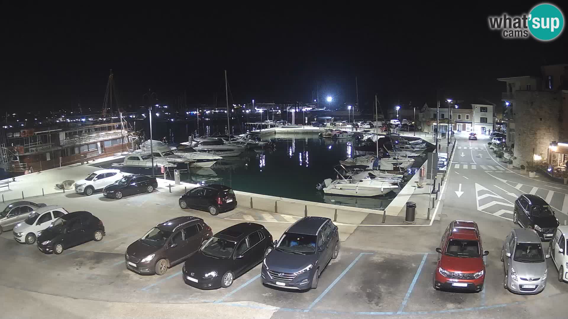 Novigrad | Porporela marina