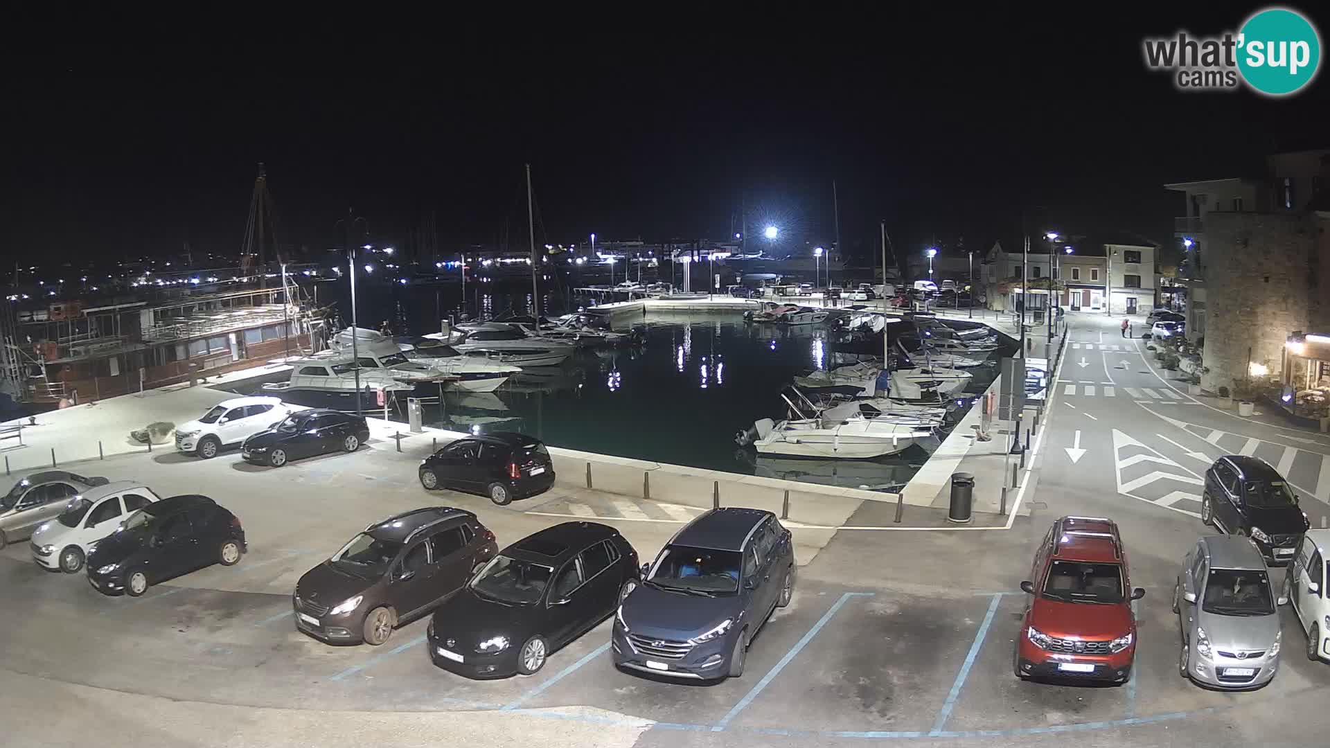Novigrad | Porporela marina