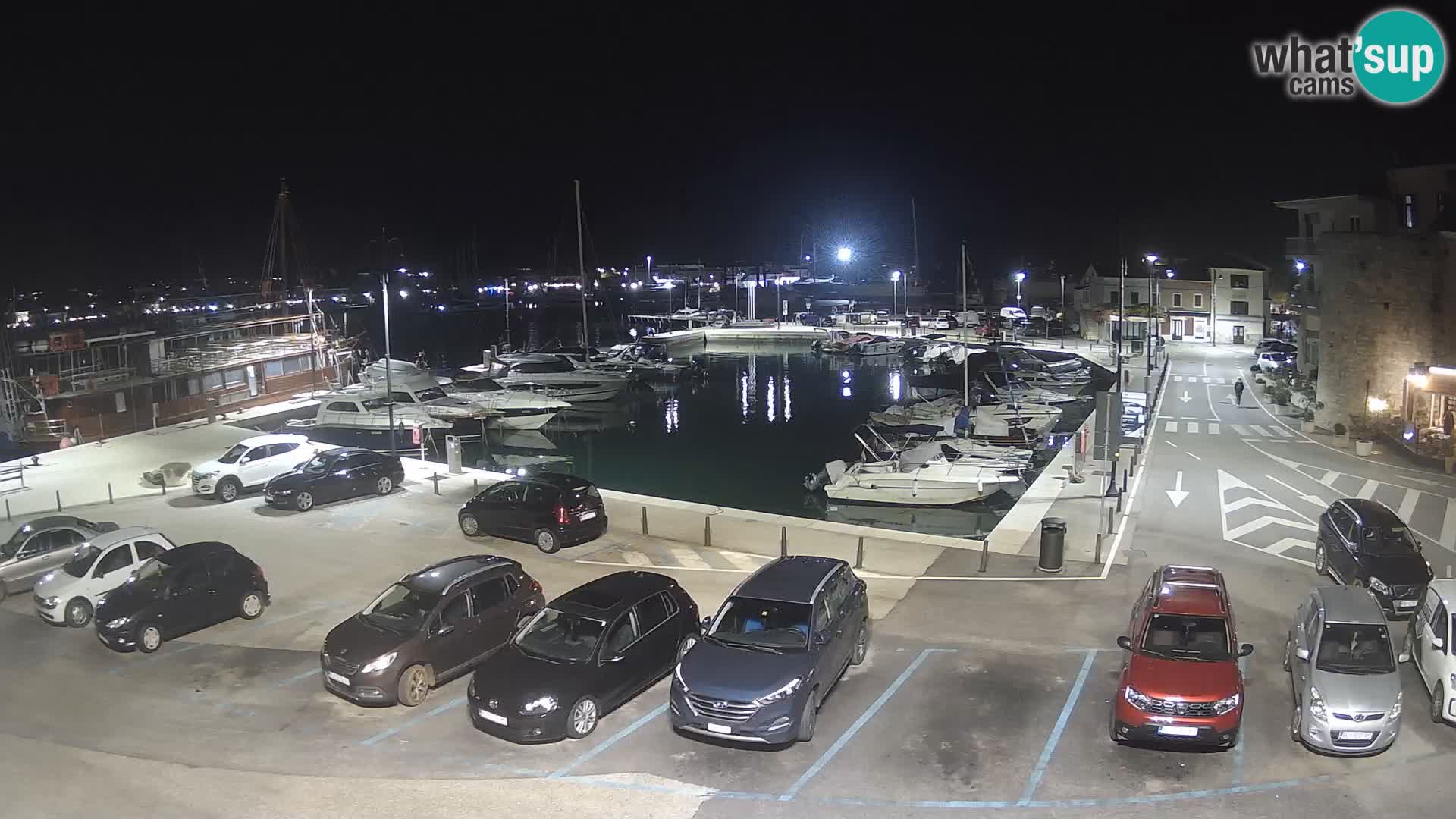 Novigrad | Porporela marina