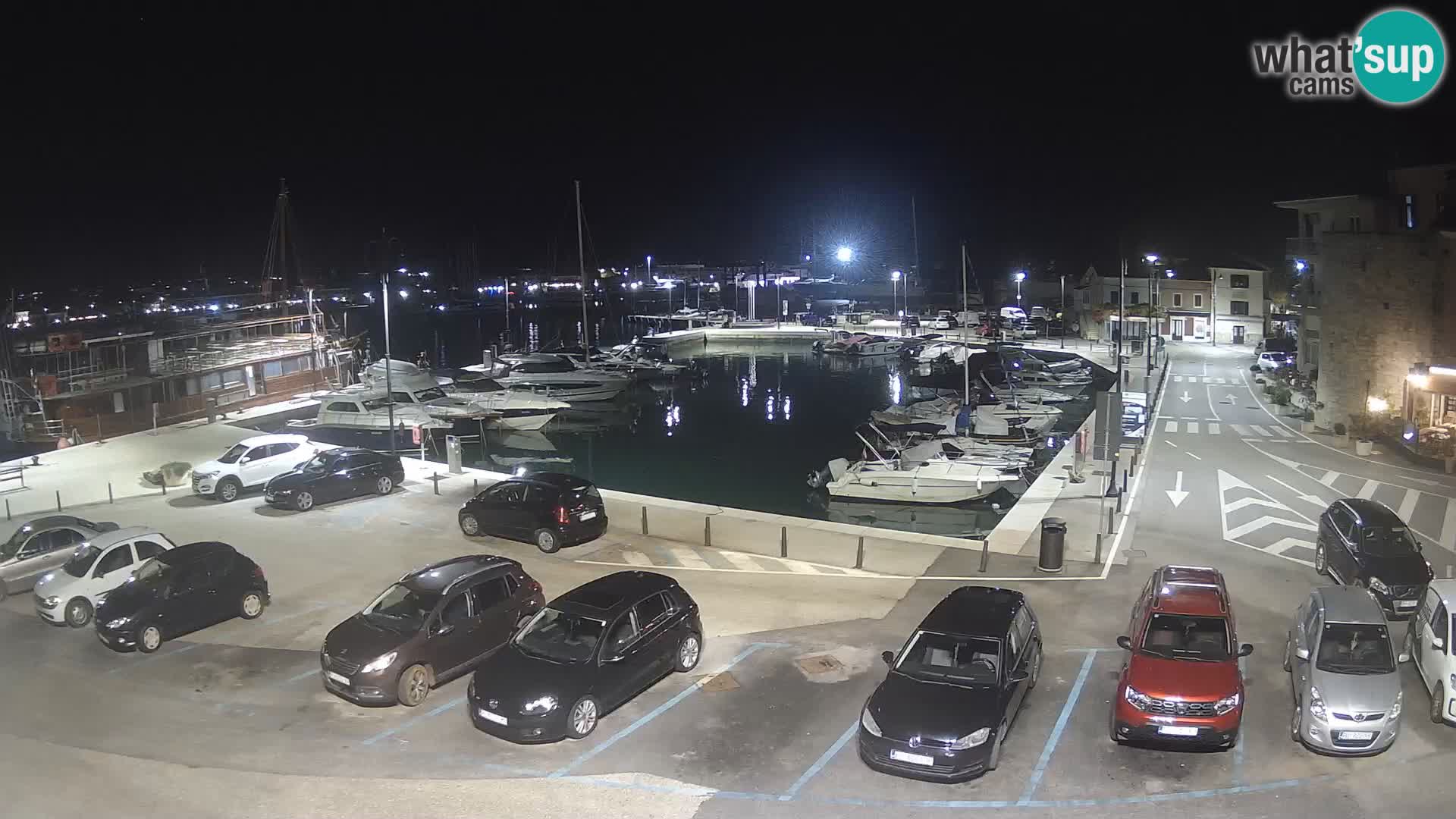 Novigrad | Porporela marina