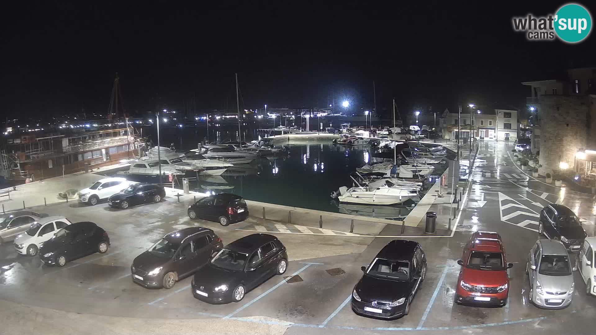 Novigrad | Porporela marina