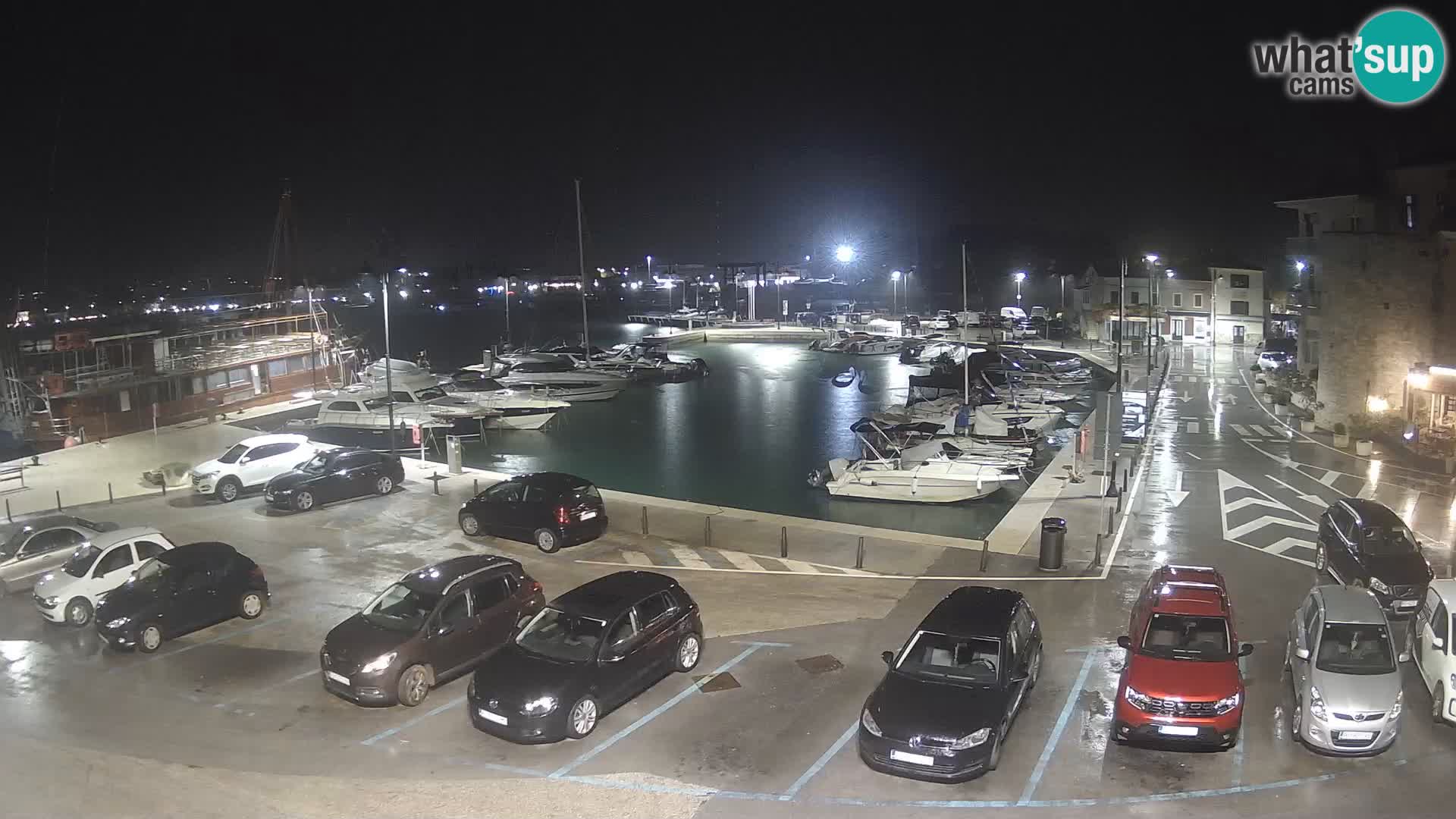 Novigrad | Porporela marina