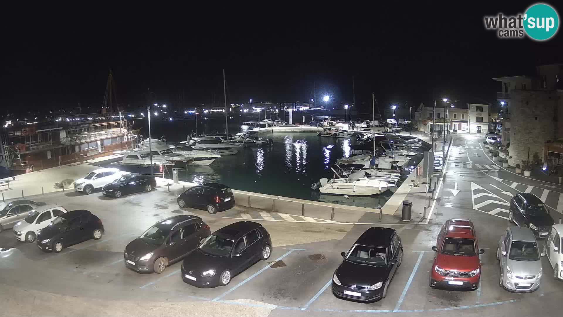 Novigrad | Porporela marina