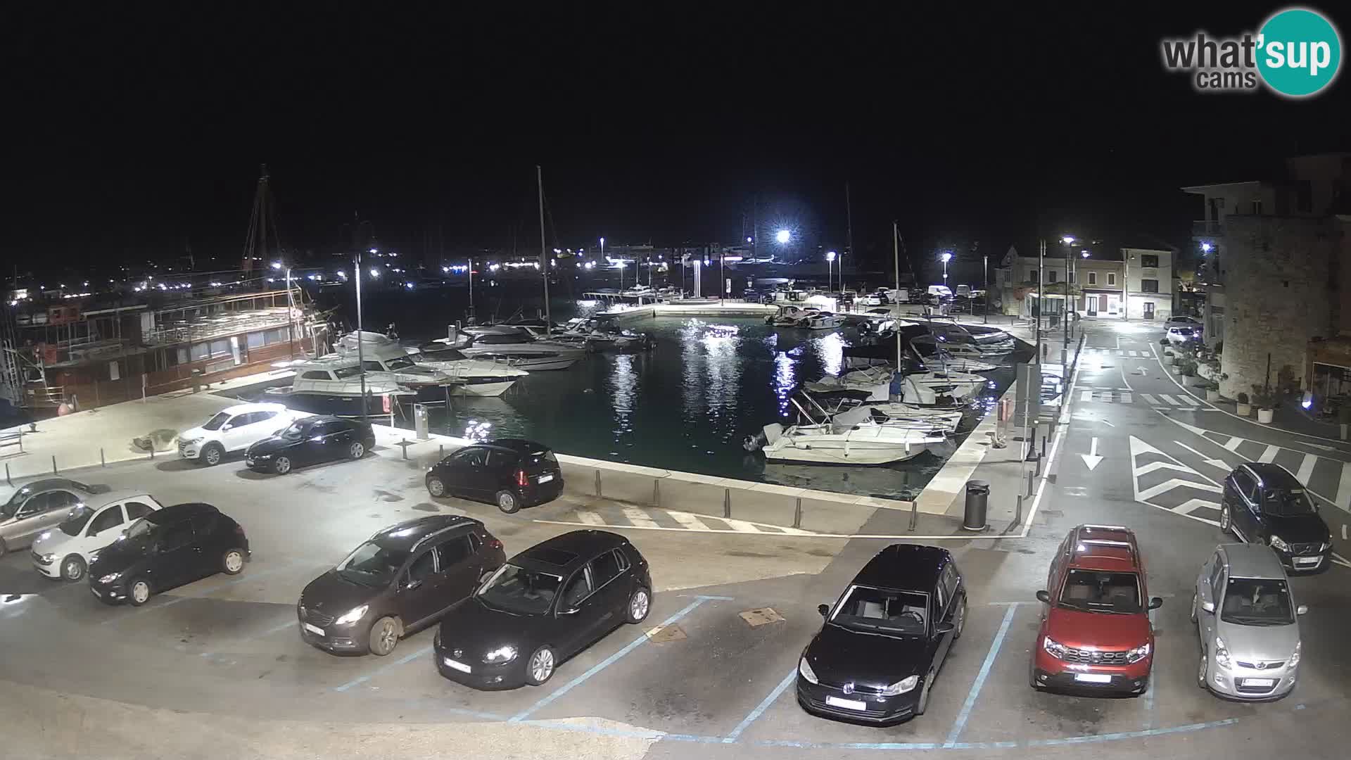Novigrad | Porporela marina
