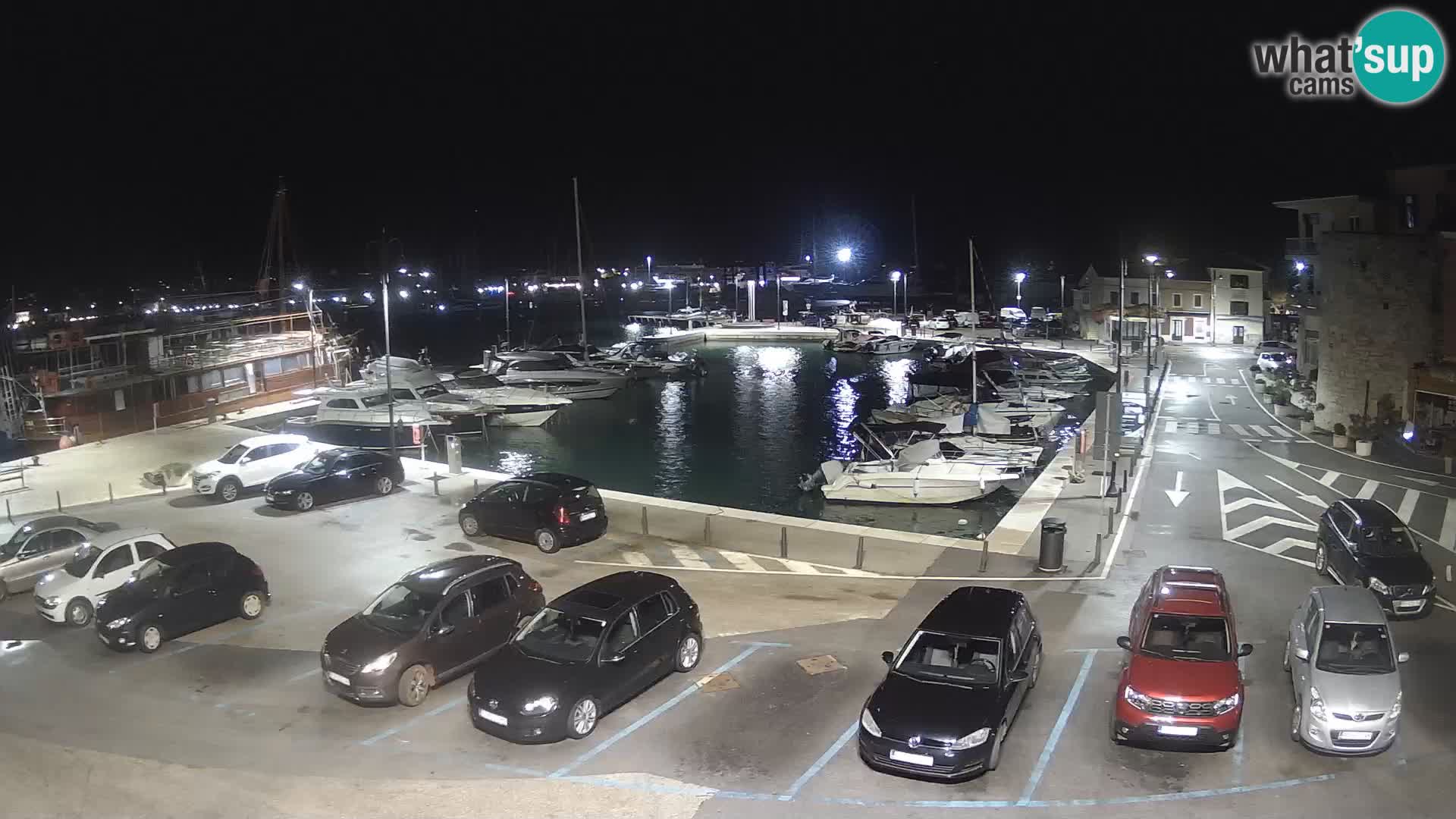 Novigrad | Porporela marina