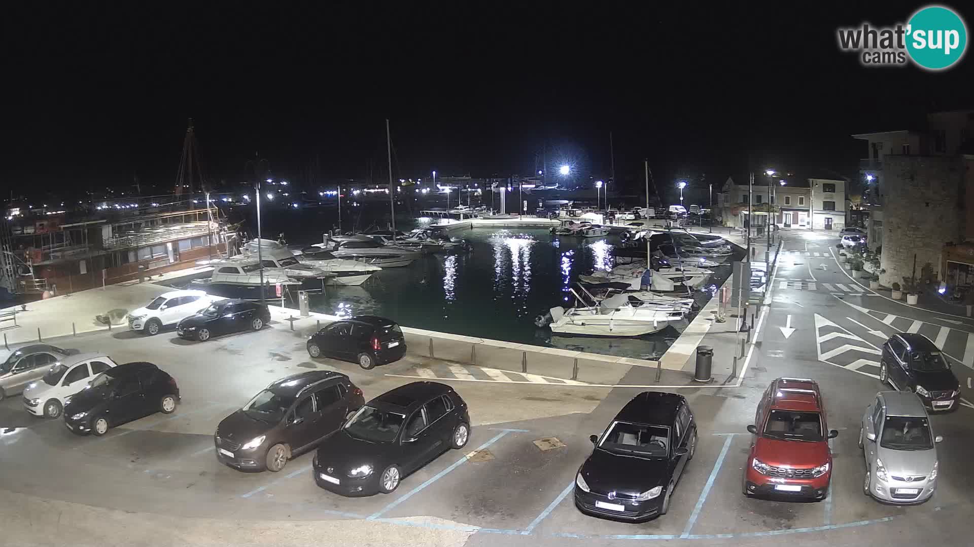 Novigrad | Porporela marina