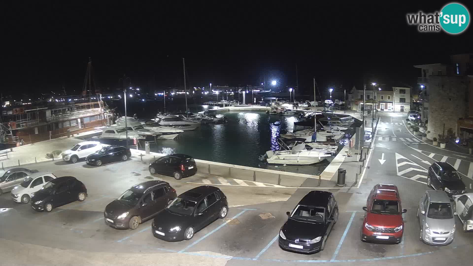 Novigrad | Porporela marina