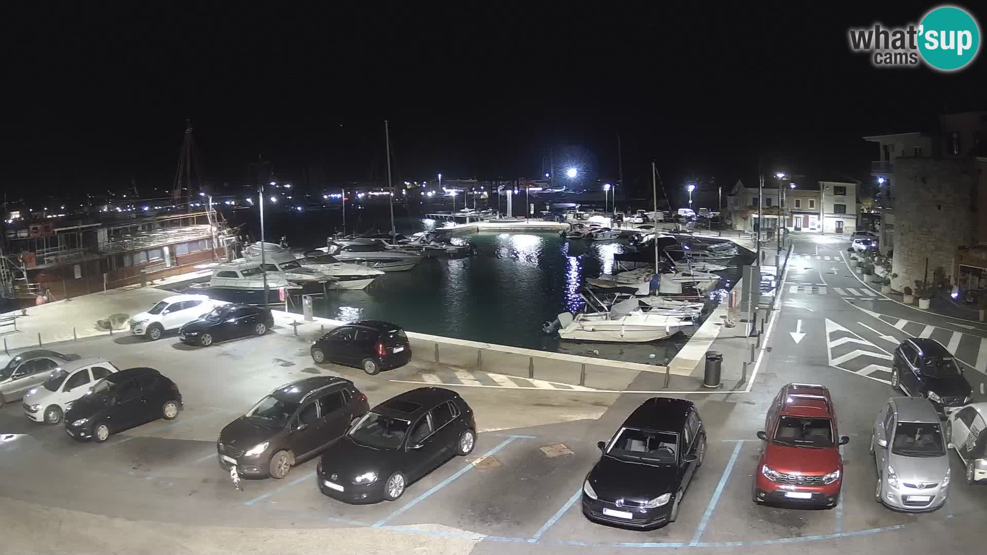 Novigrad | Porporela marina