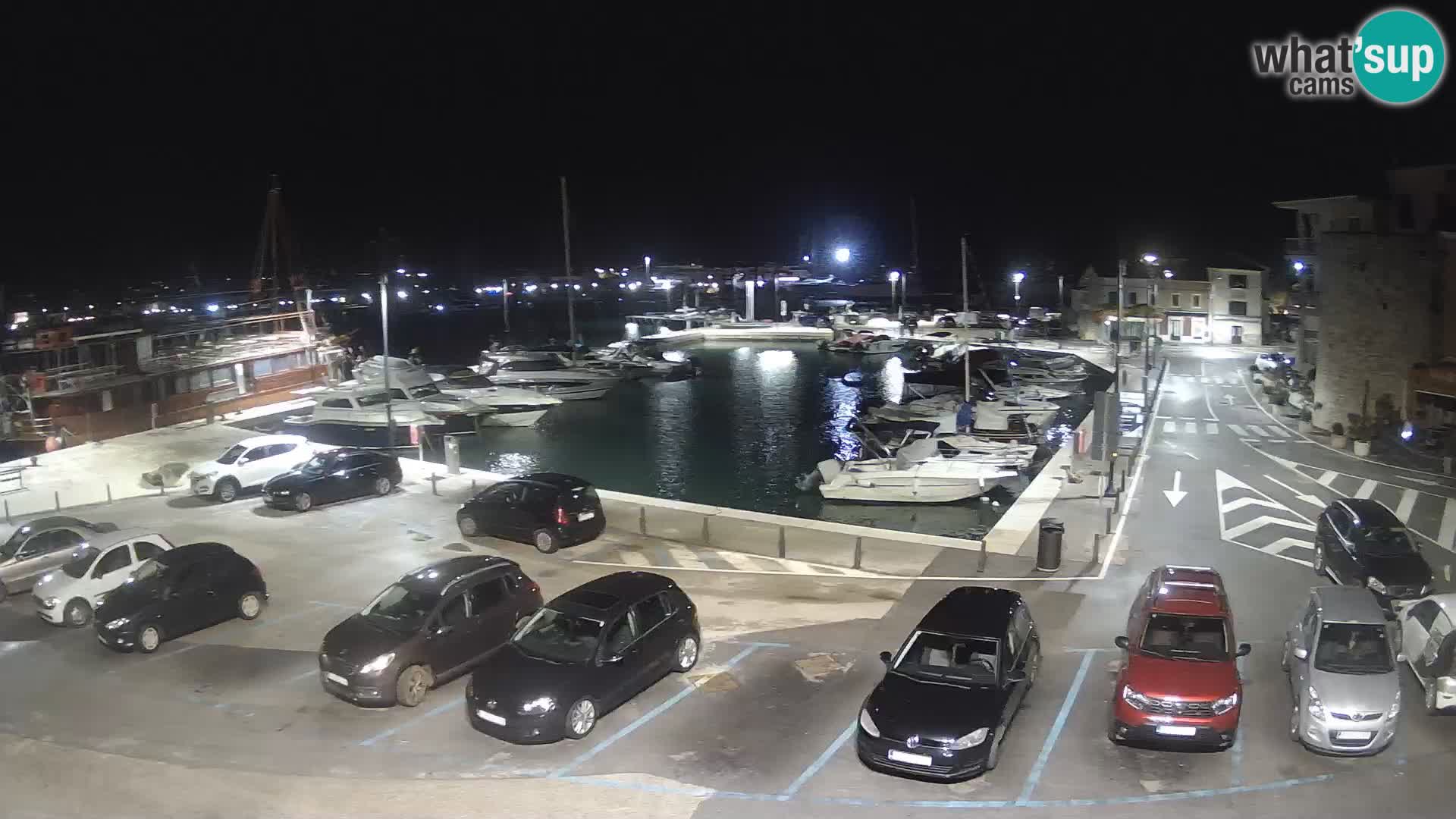 Novigrad | Porporela marina