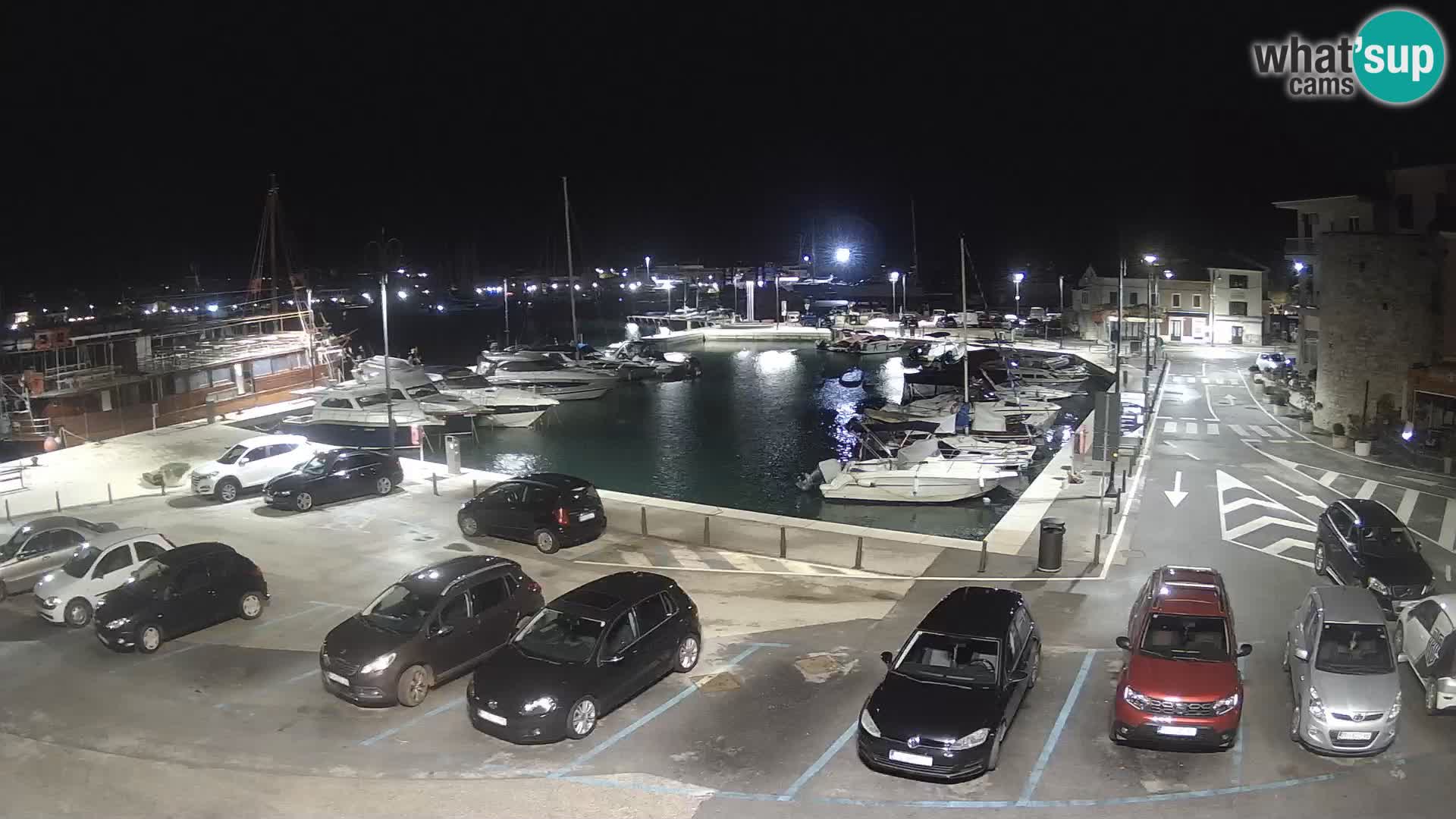 Novigrad | Porporela marina