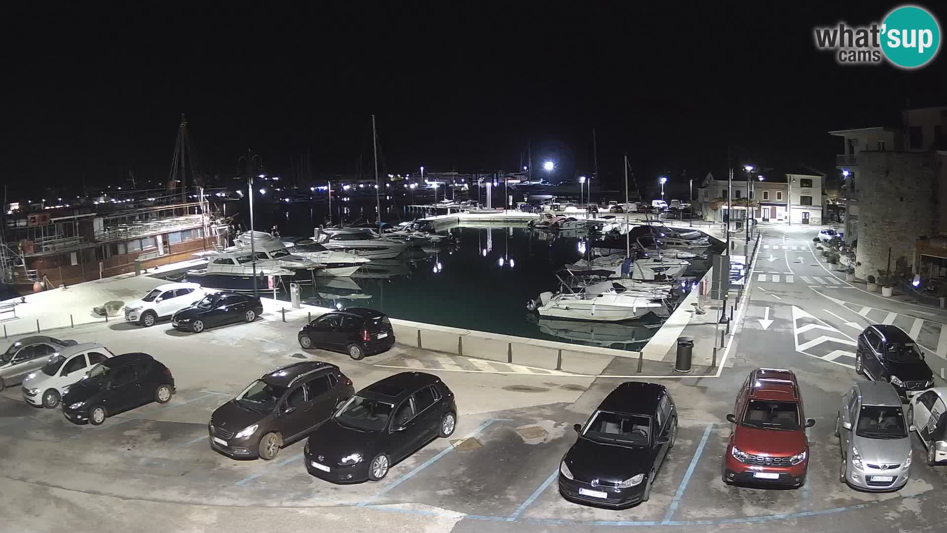 Novigrad | Porporela marina