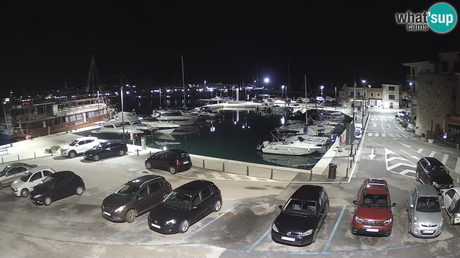 Novigrad | Porporela marina