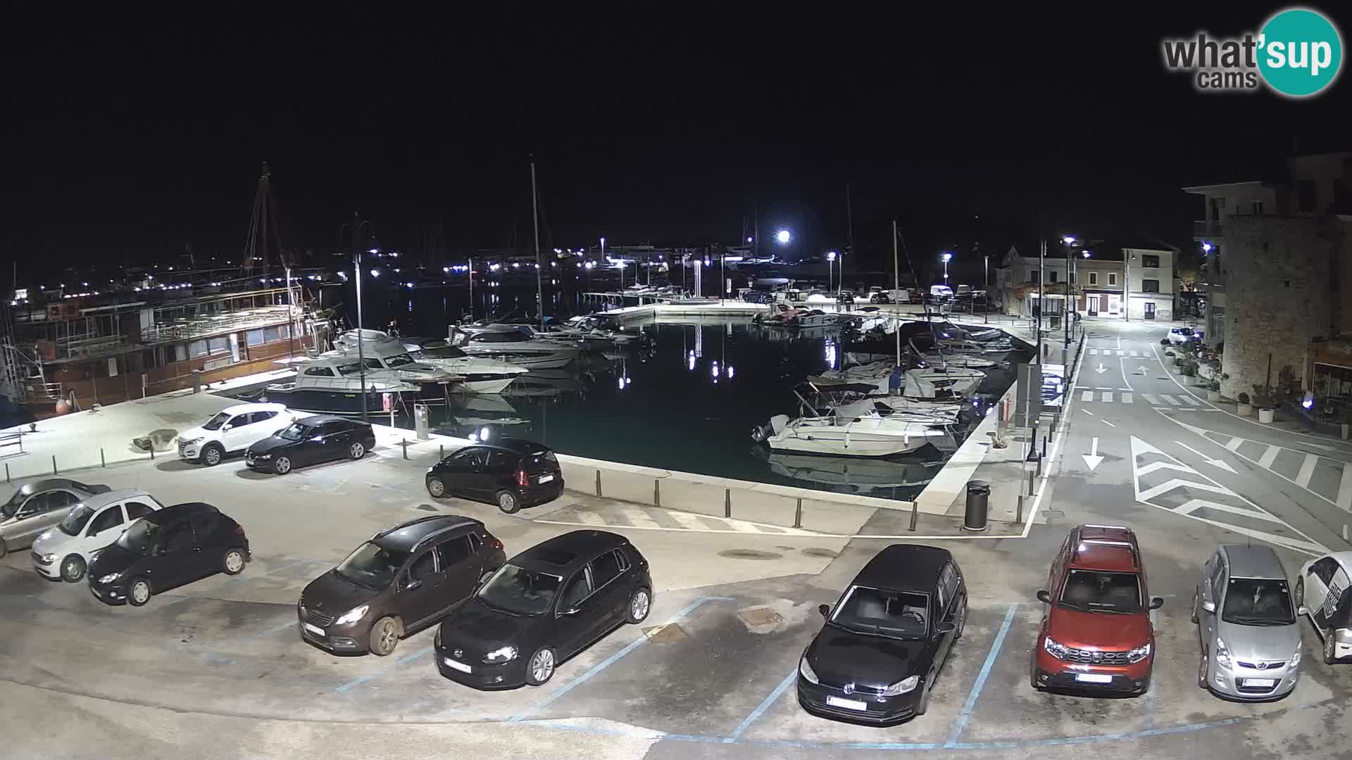Novigrad | Porporela marina