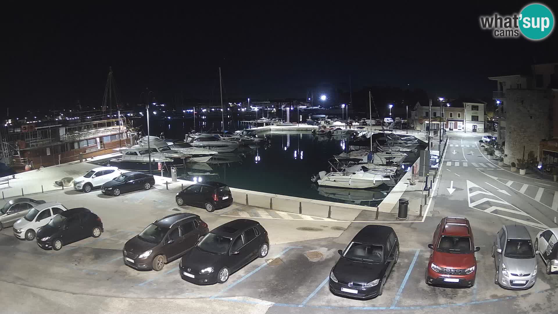 Novigrad | Porporela marina