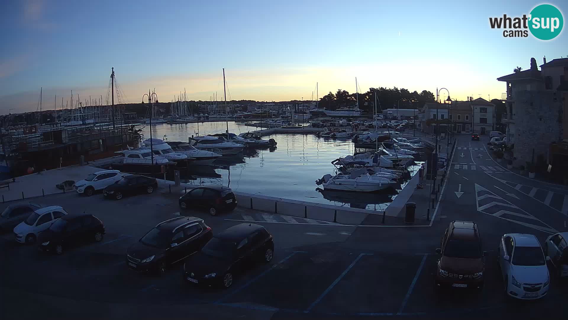 Novigrad | Porporela marina