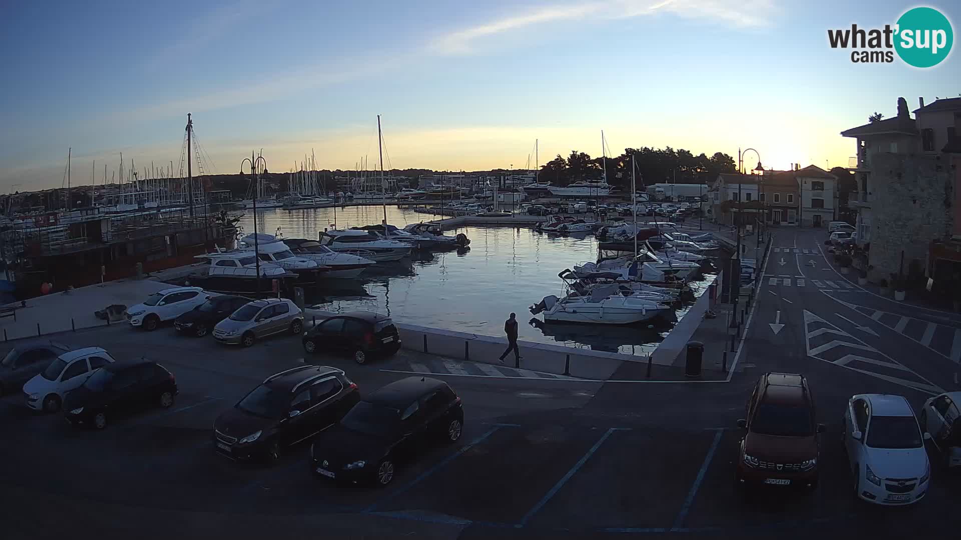 Novigrad | Porporela marina