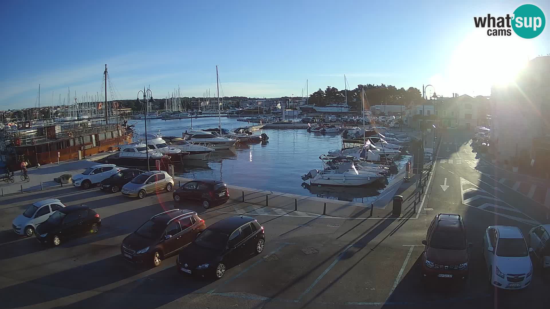 Novigrad | Porporela marina