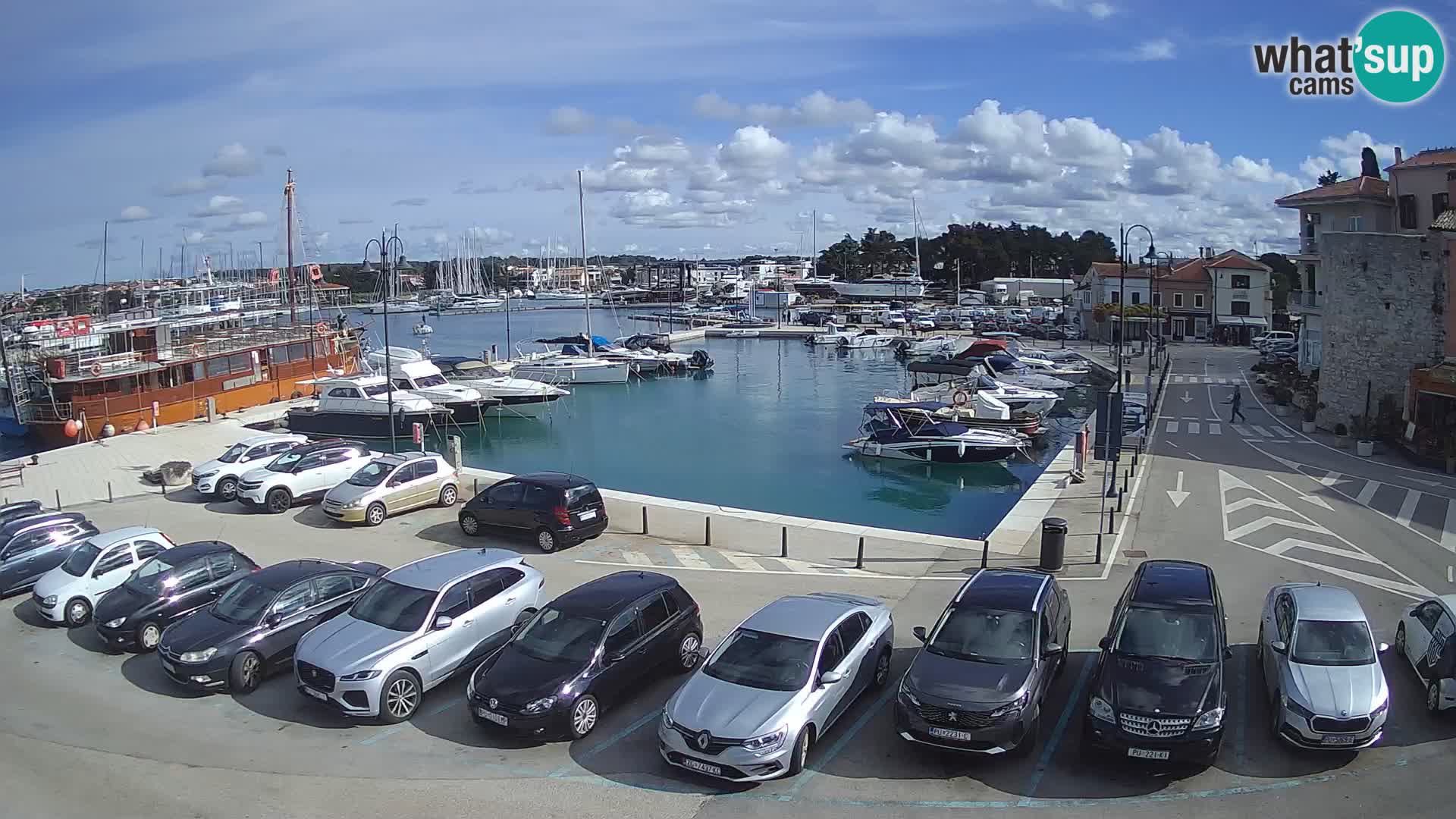 Novigrad | Porporela marina