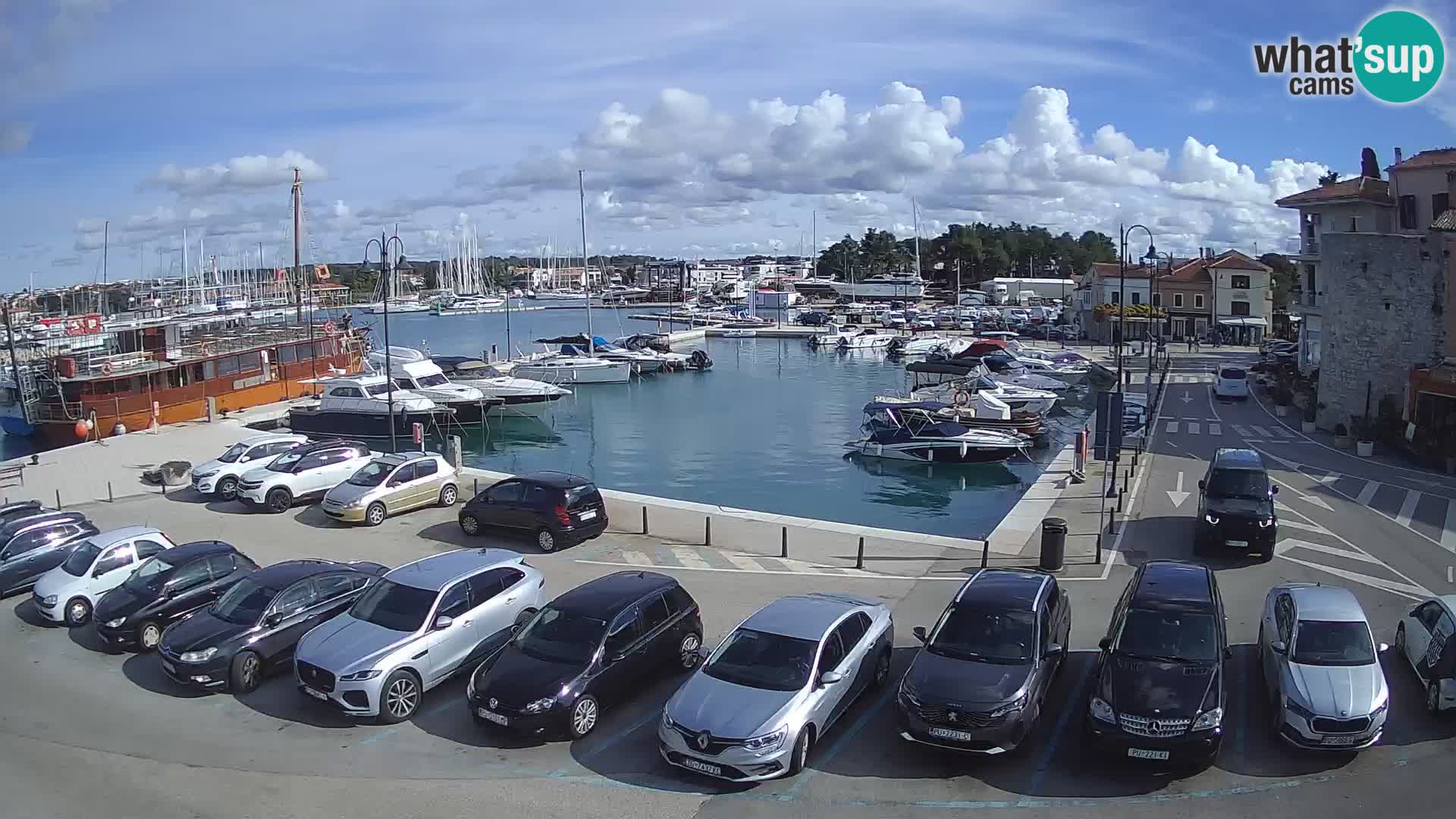 Novigrad | Porporela marina