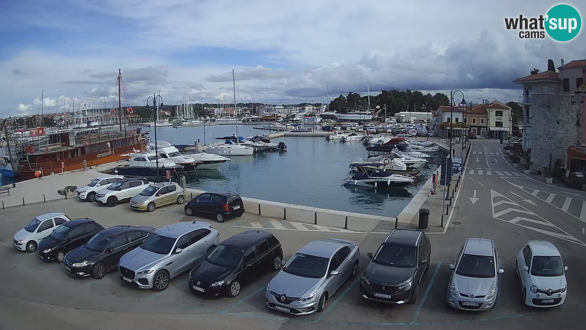 Novigrad | Porporela marina