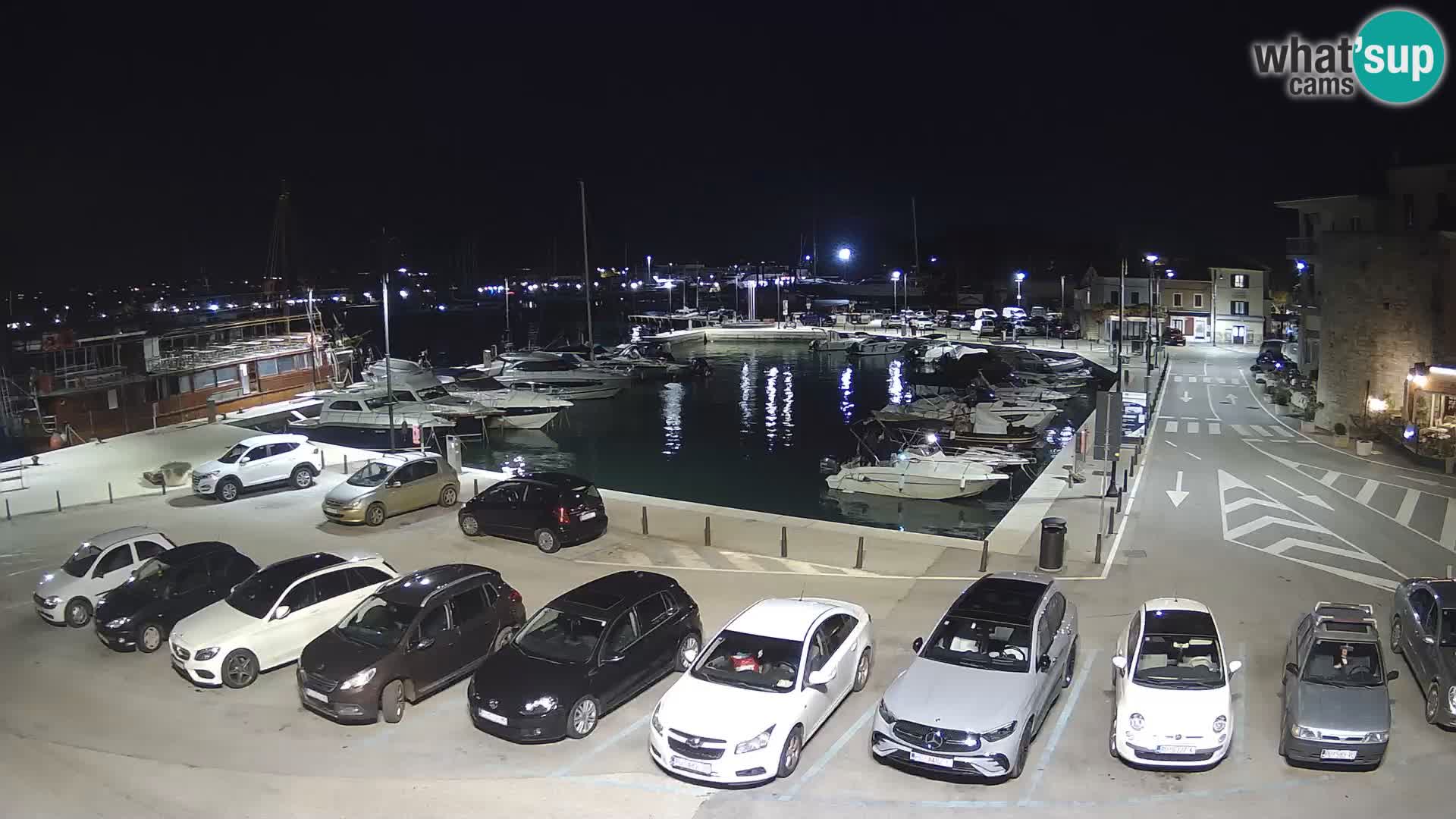 Novigrad | Porporela marina