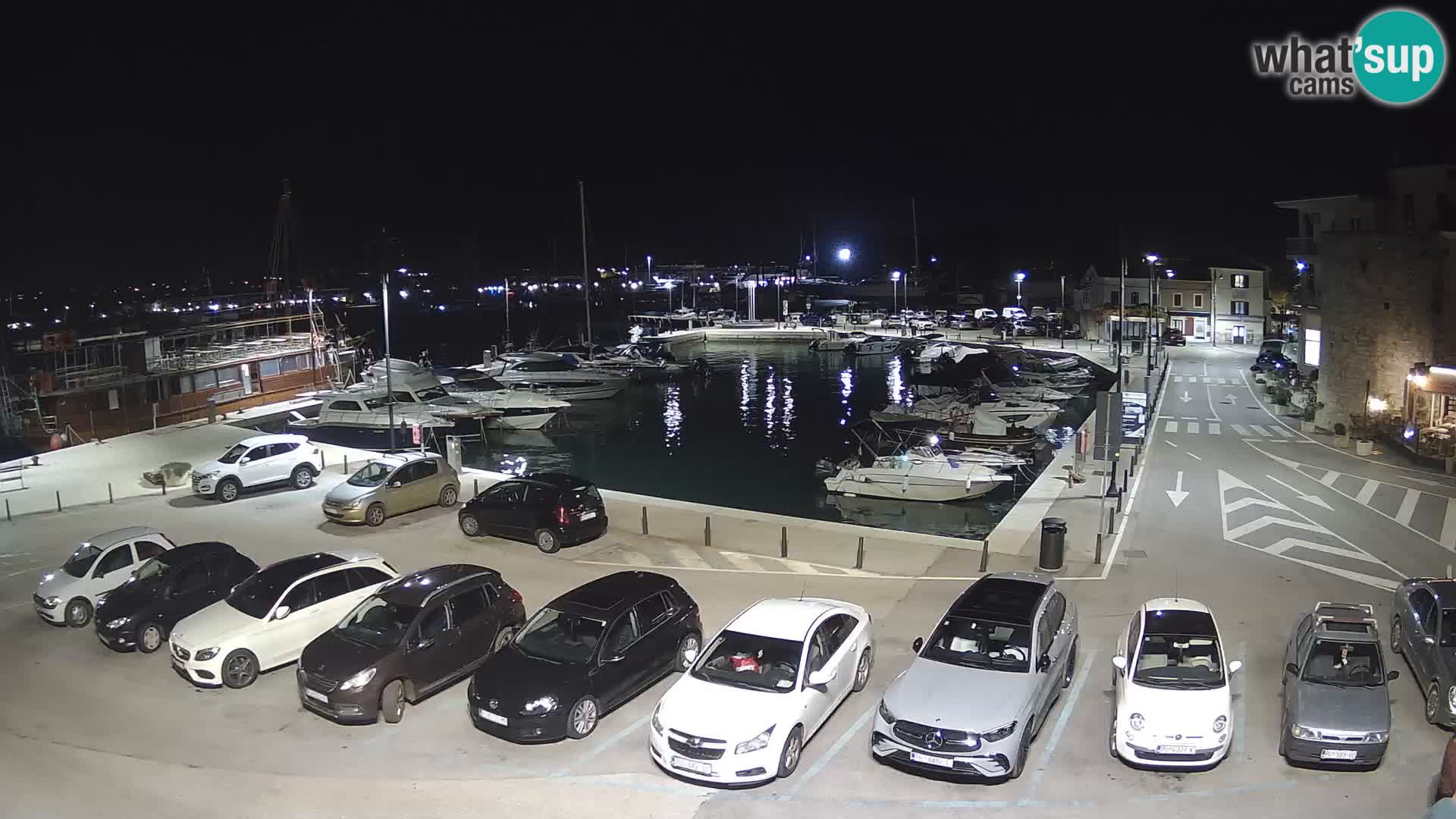 Novigrad | Porporela marina