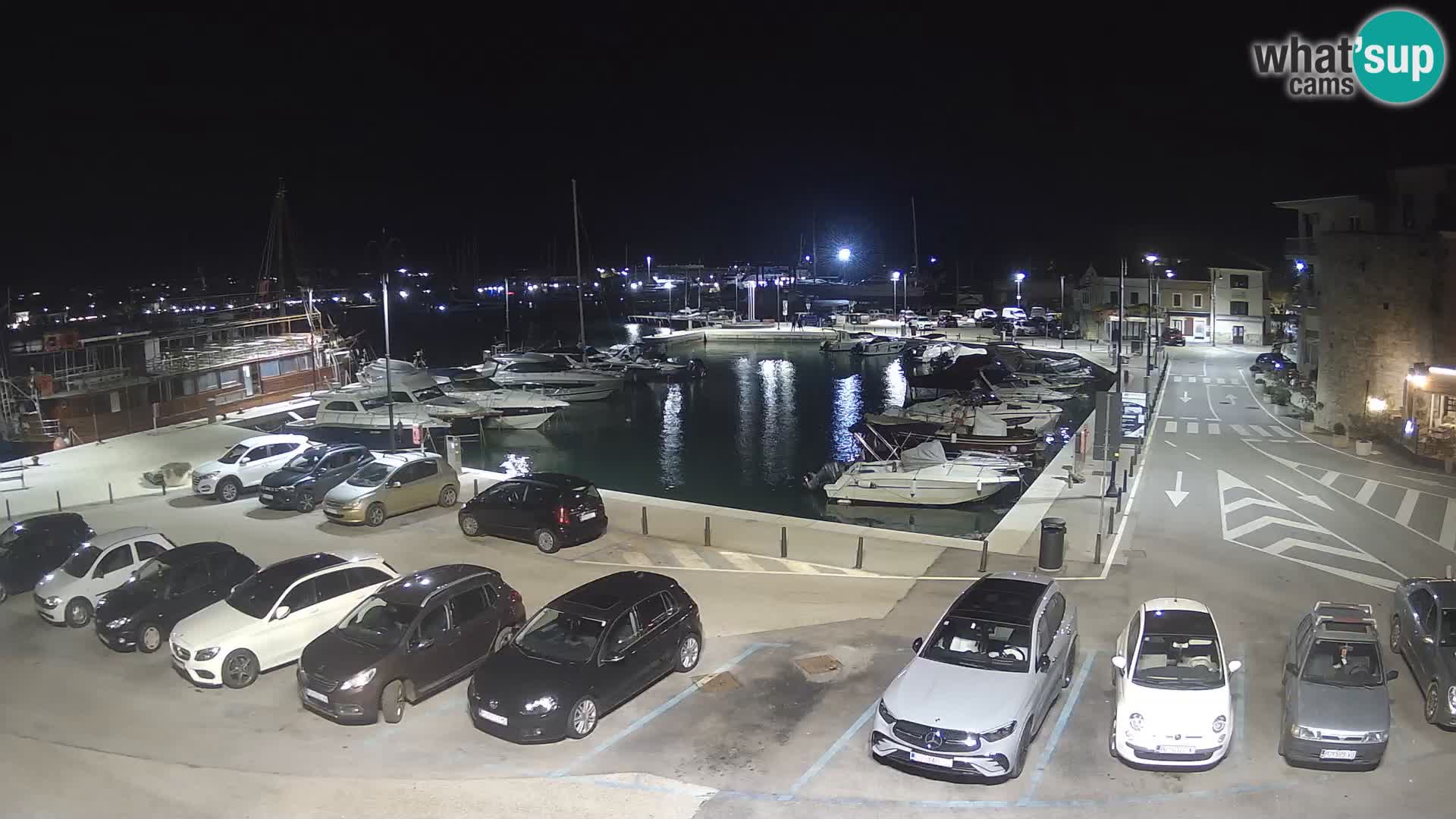 Novigrad | Porporela marina