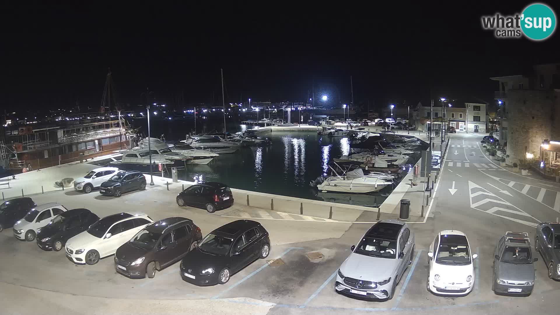 Novigrad | Porporela marina
