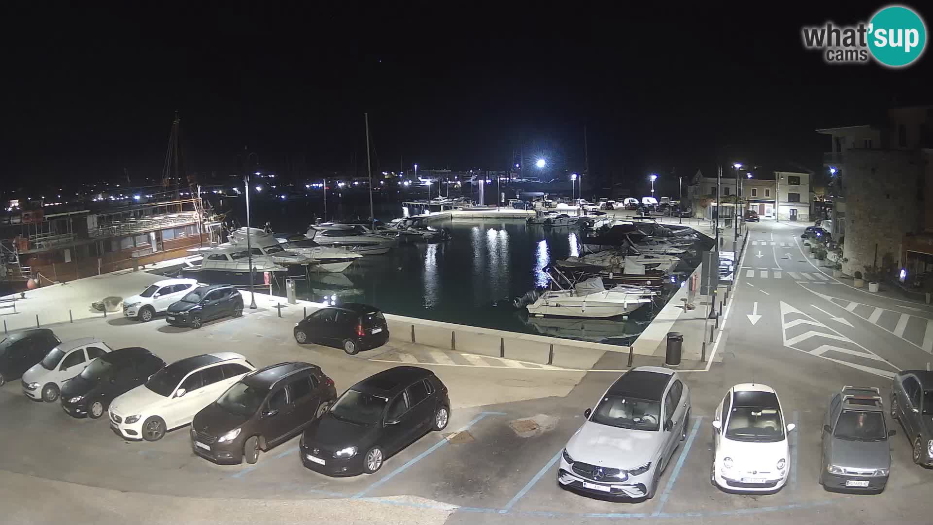 Novigrad | Porporela marina
