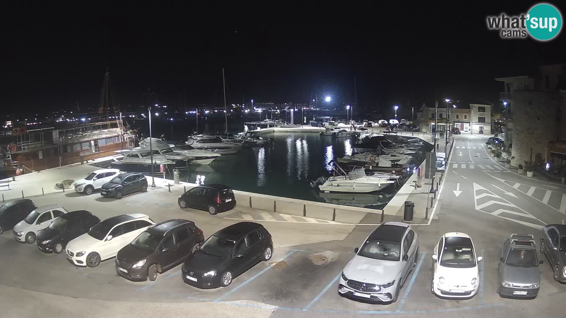 Novigrad | Porporela marina