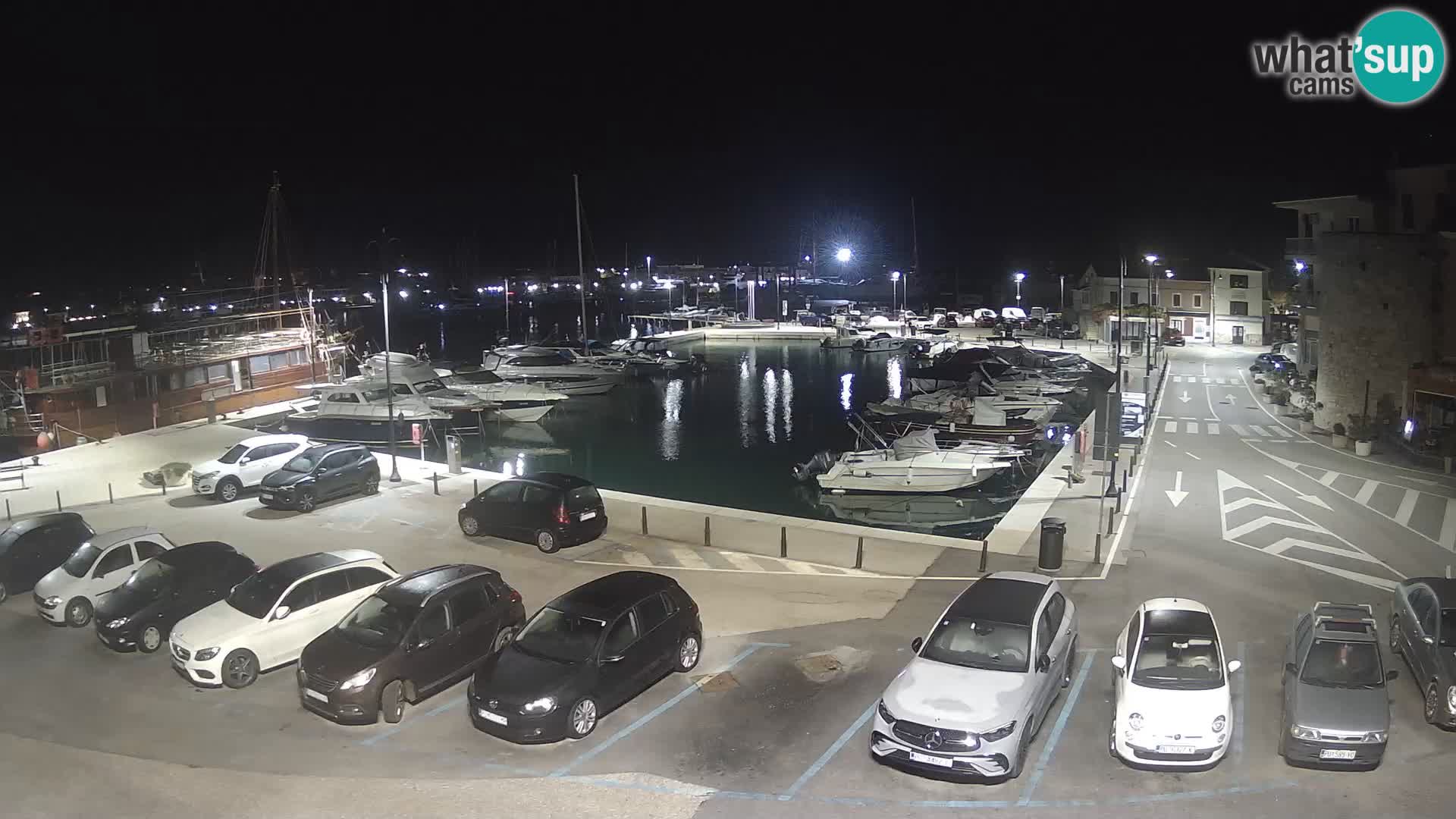 Novigrad | Porporela marina