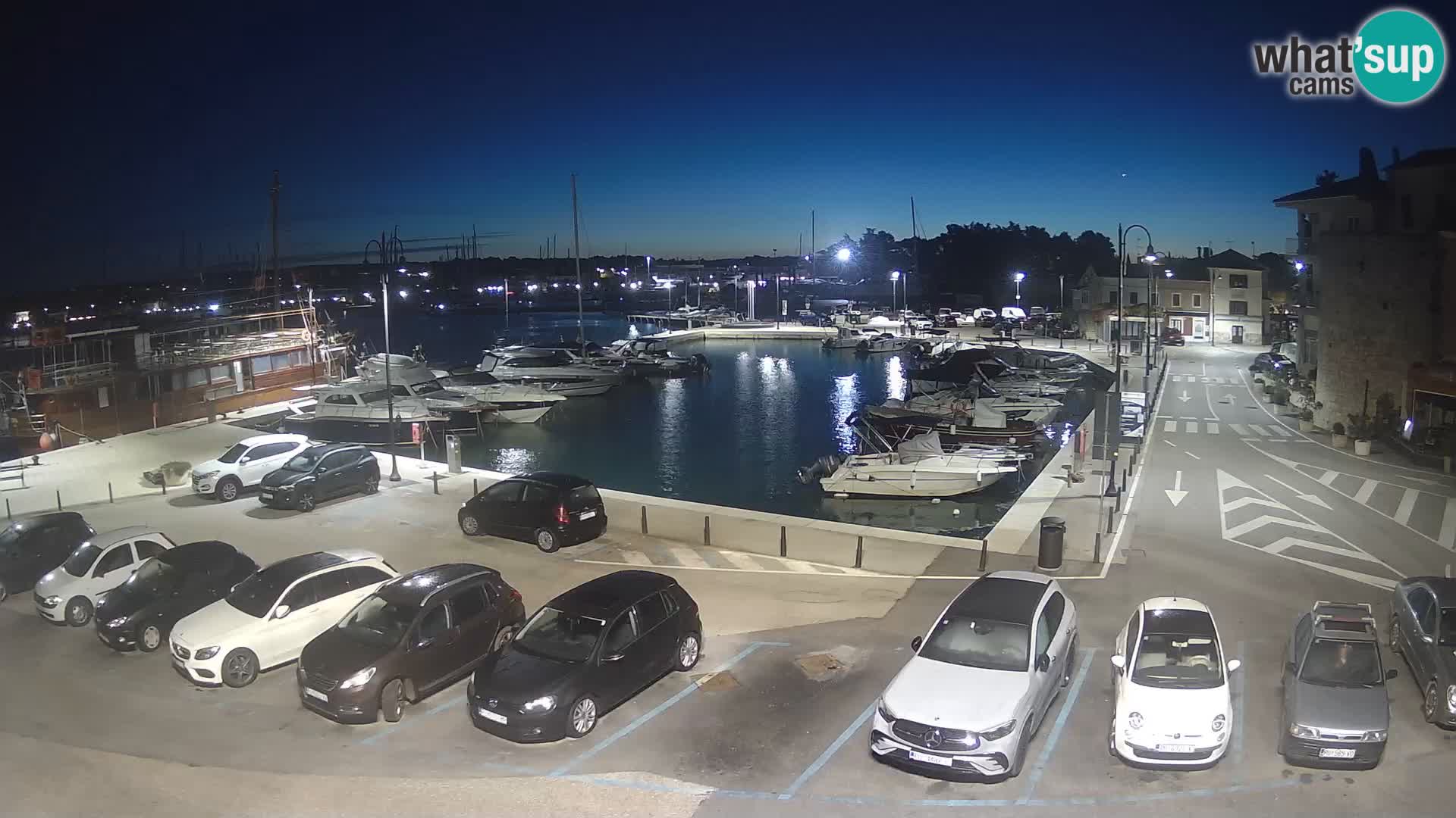 Novigrad | Porporela marina