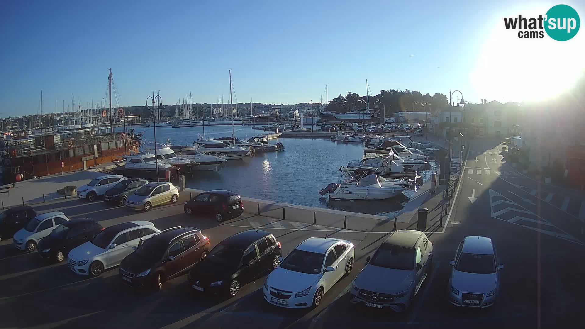 Novigrad | Porporela marina