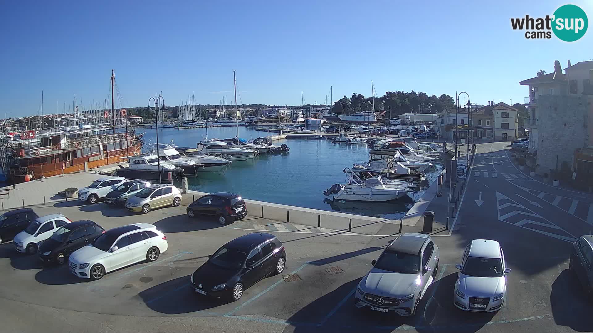 Novigrad | Porporela marina