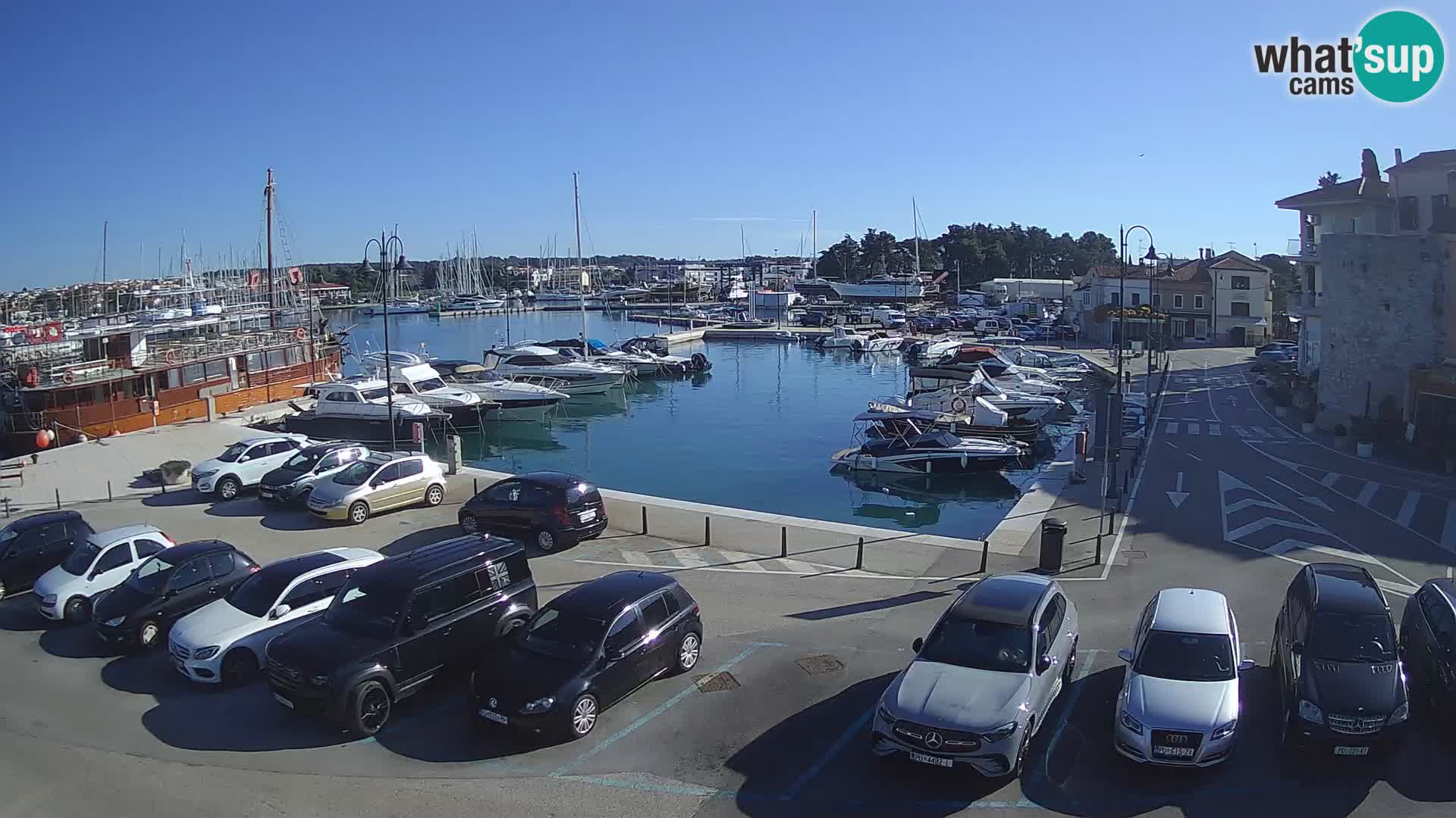 Novigrad | Porporela marina