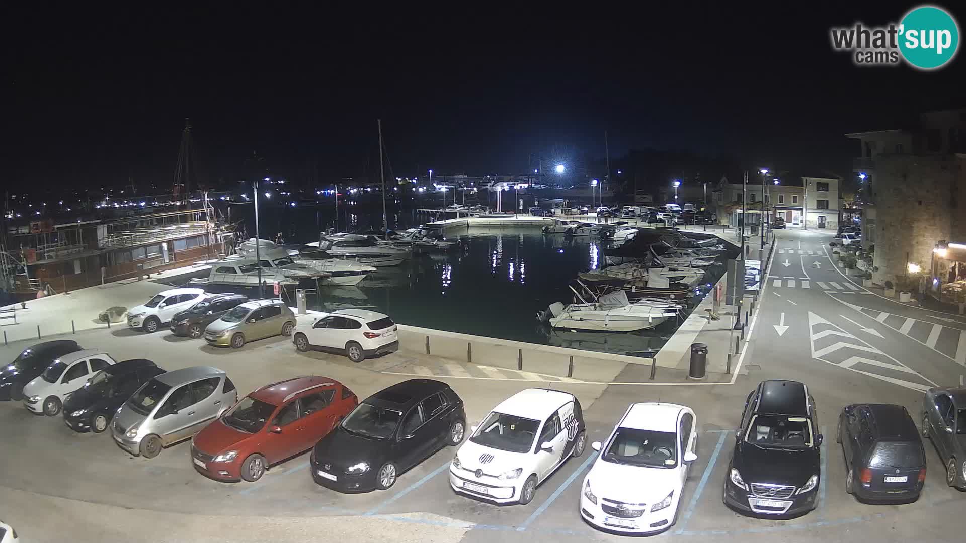 Novigrad | Porporela marina