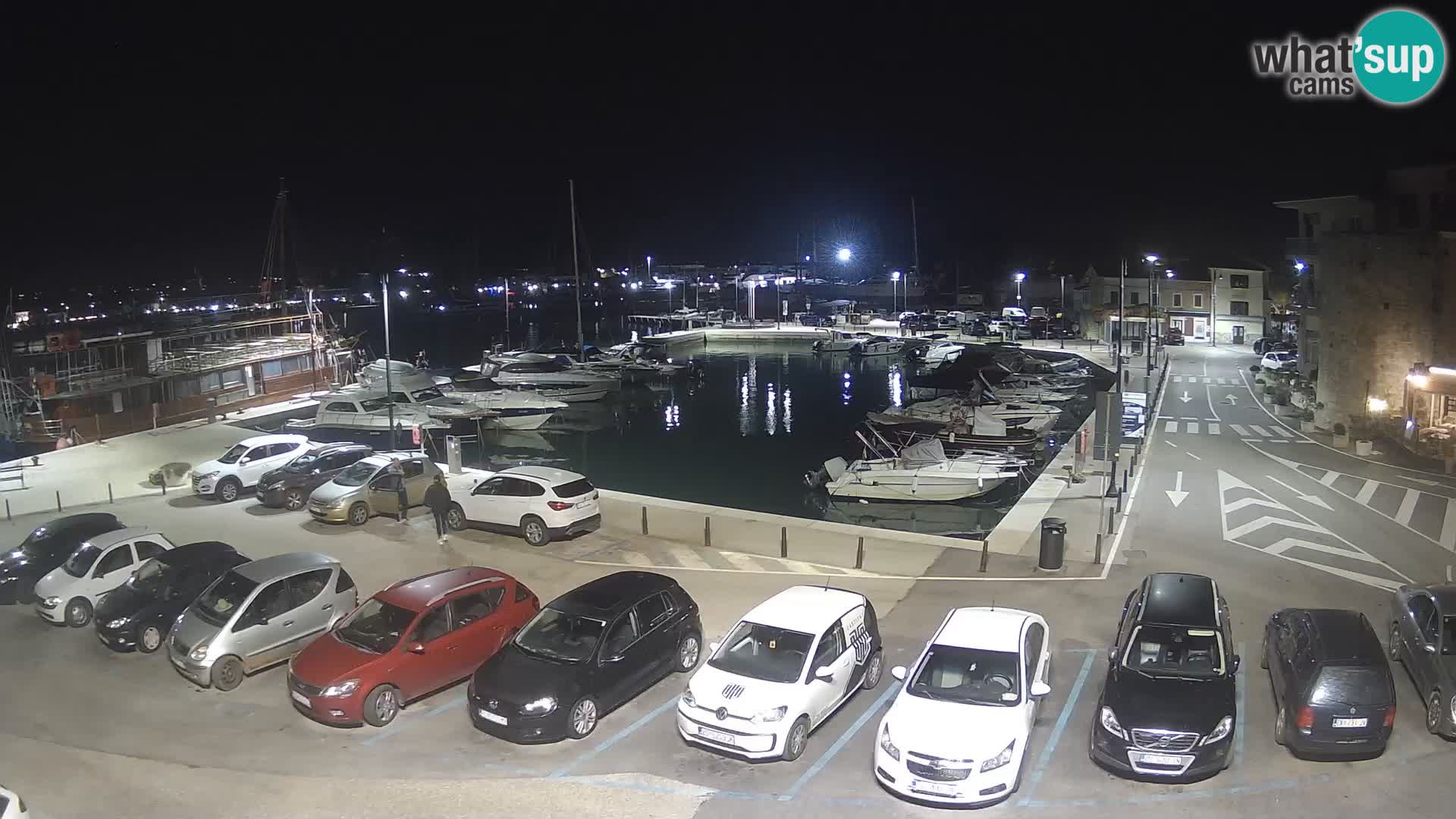Novigrad | Porporela marina
