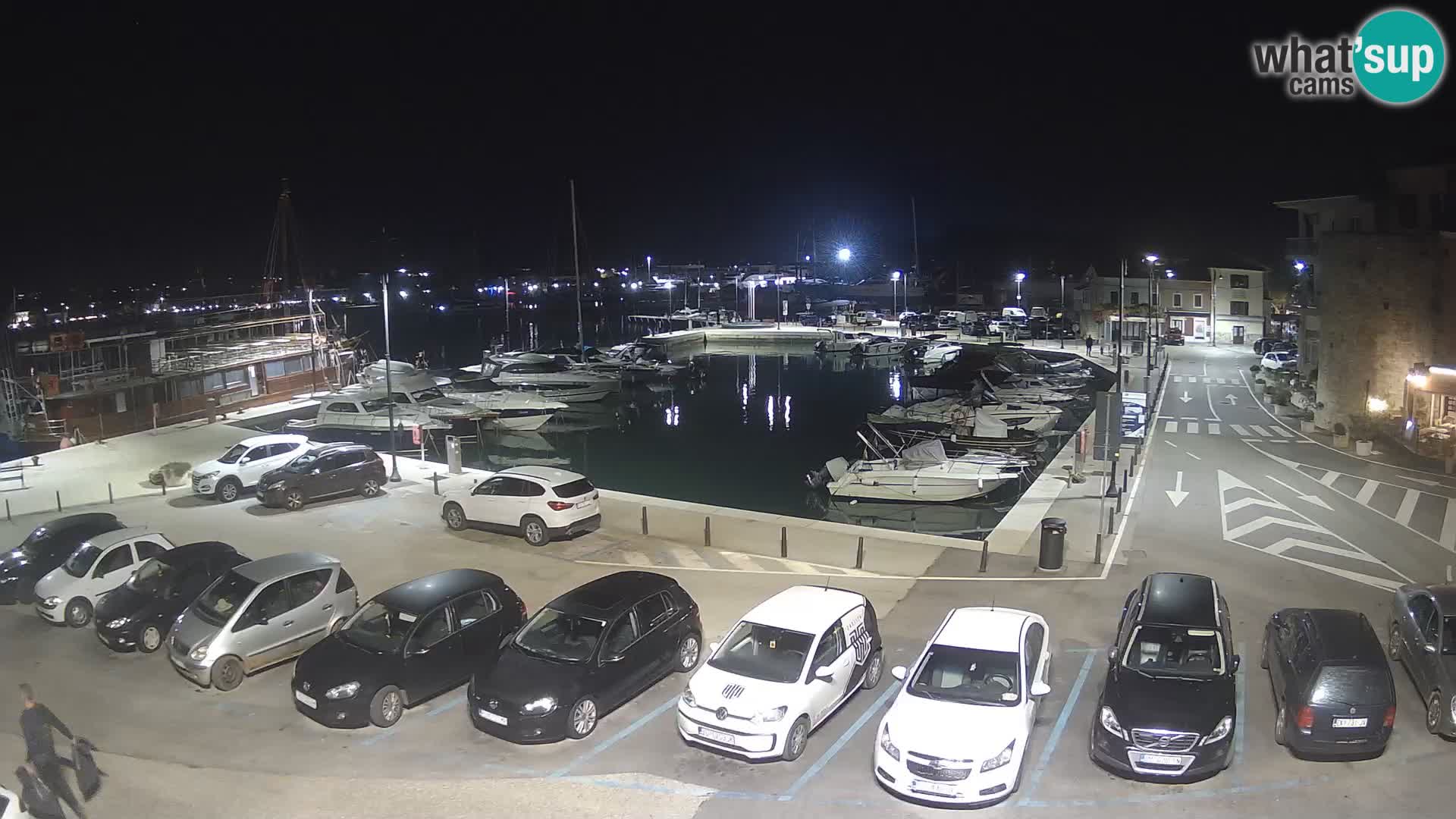 Novigrad | Porporela marina