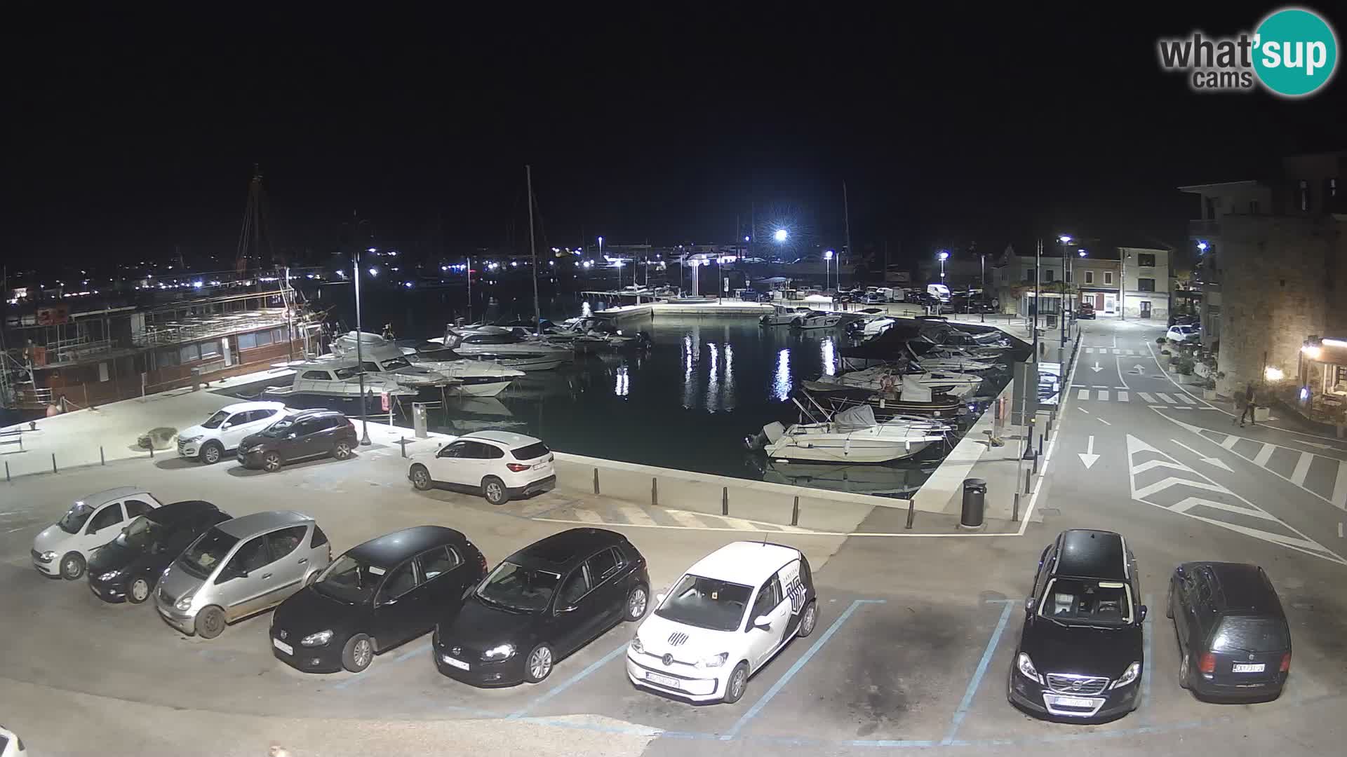 Novigrad | Porporela marina