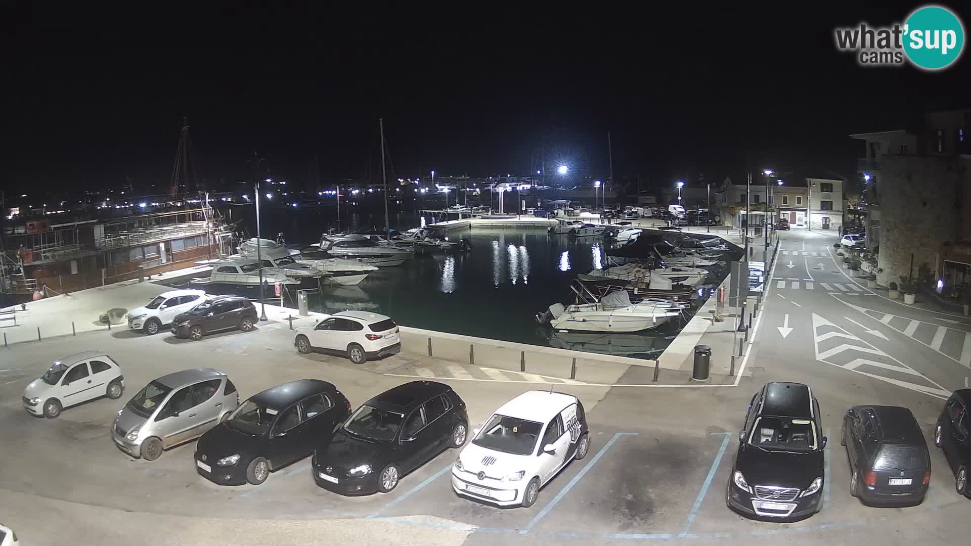 Novigrad | Porporela marina