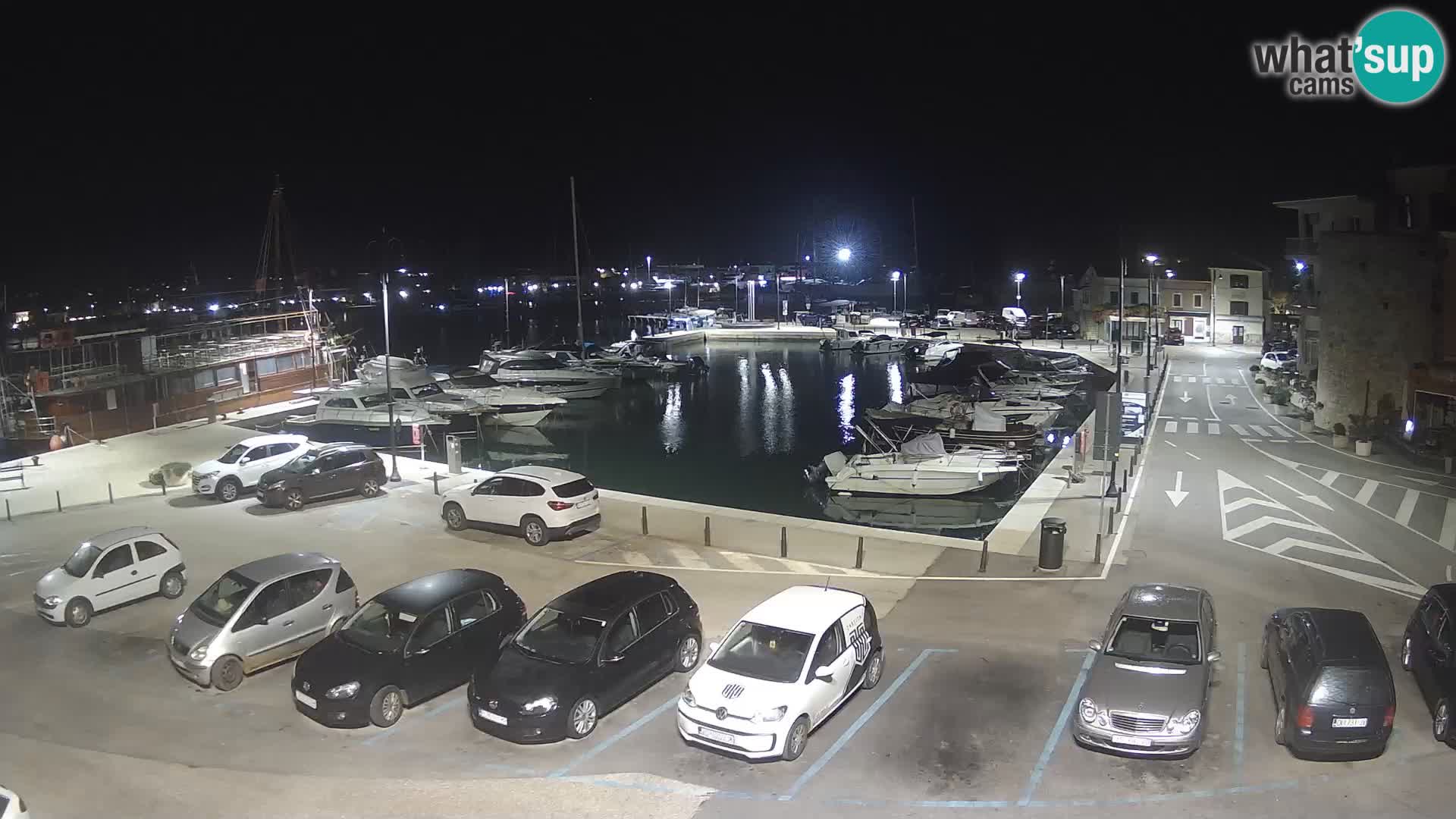 Novigrad | Porporela marina